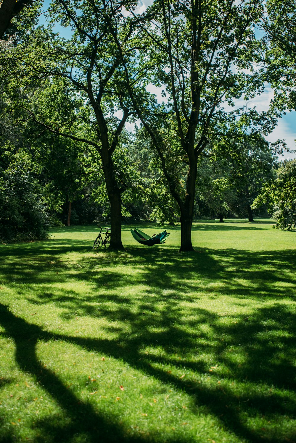 a hammock hanging between two trees in a park