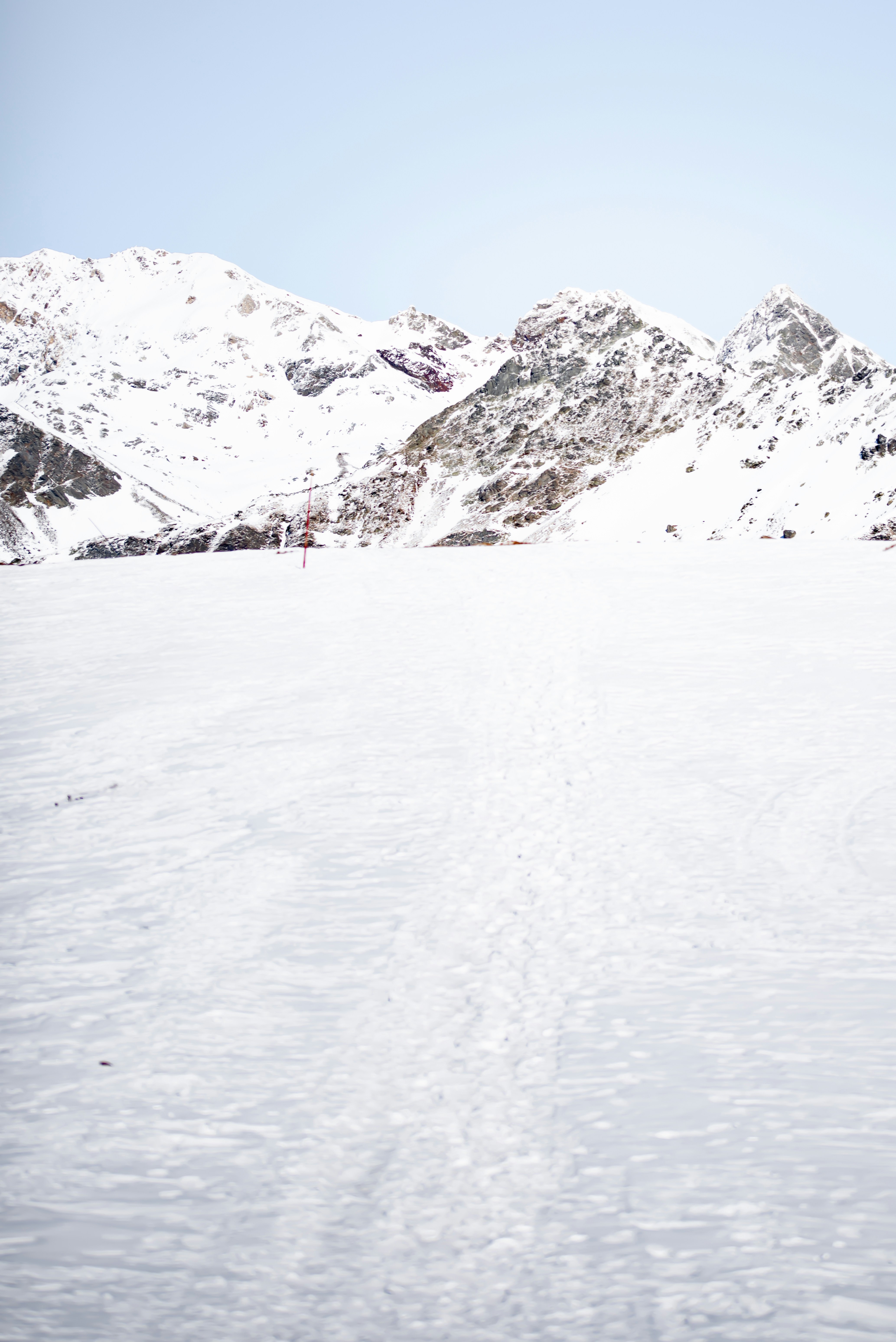 Photo by lauraadaiphoto