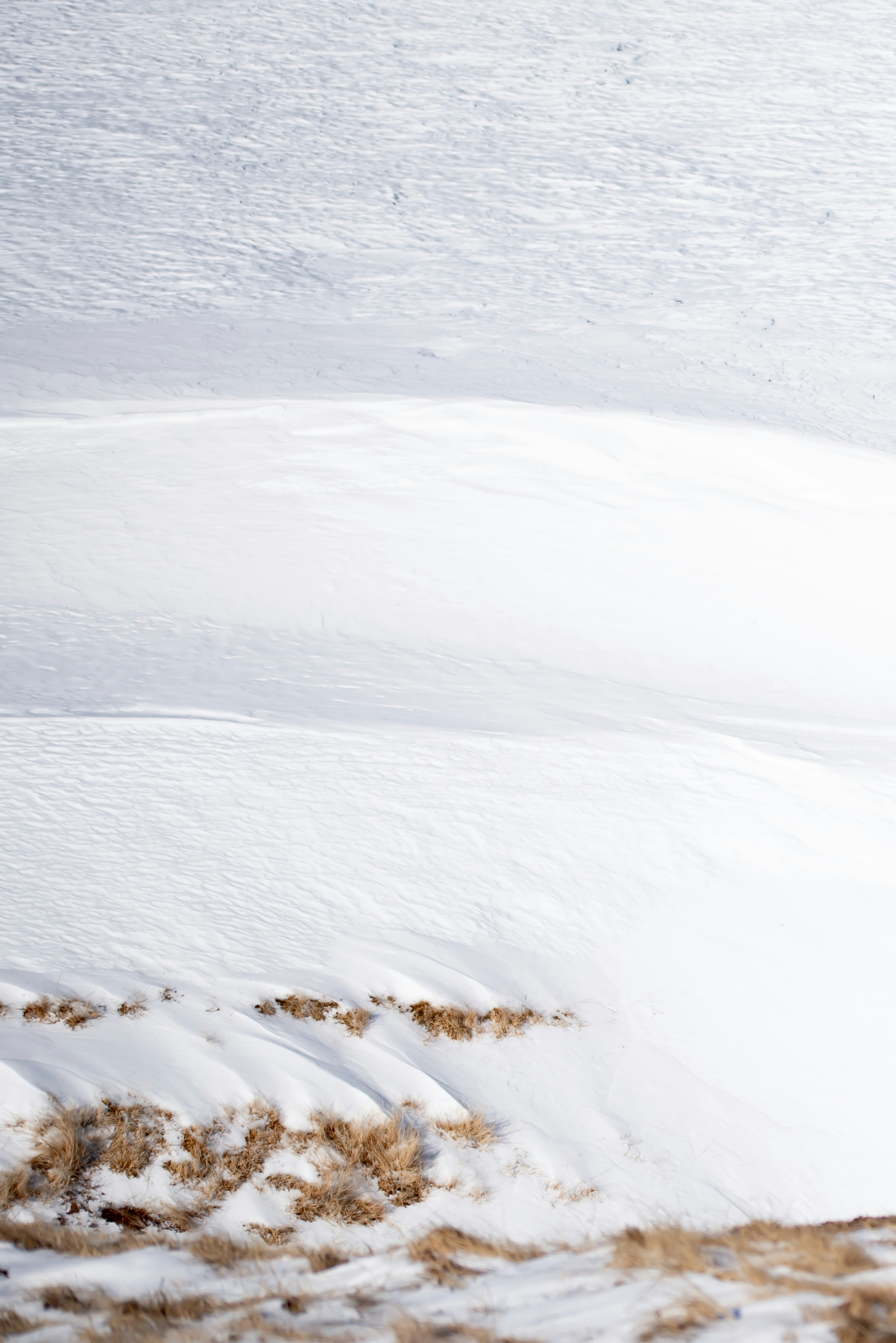 Photo by lauraadaiphoto