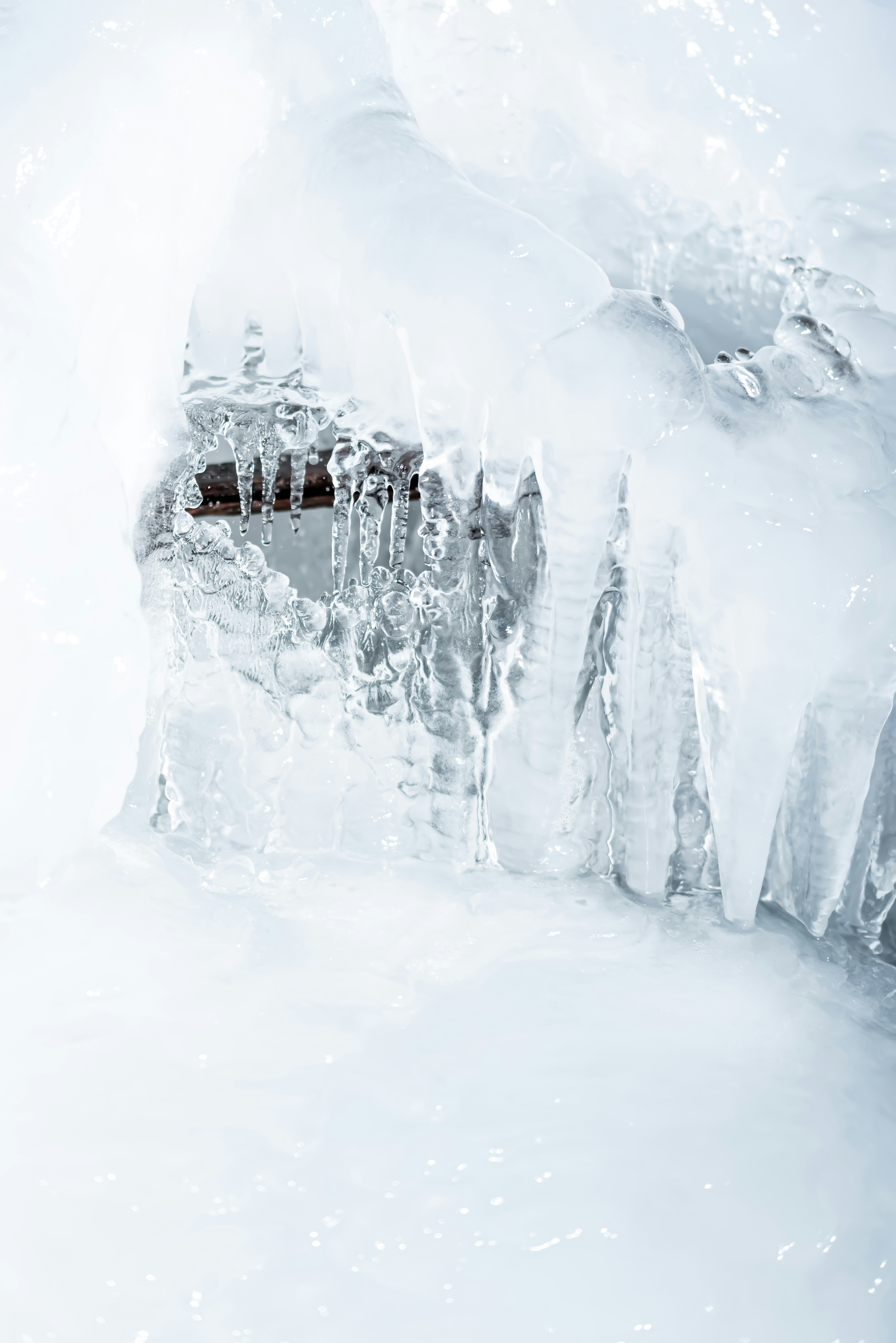 Photo by lauraadaiphoto