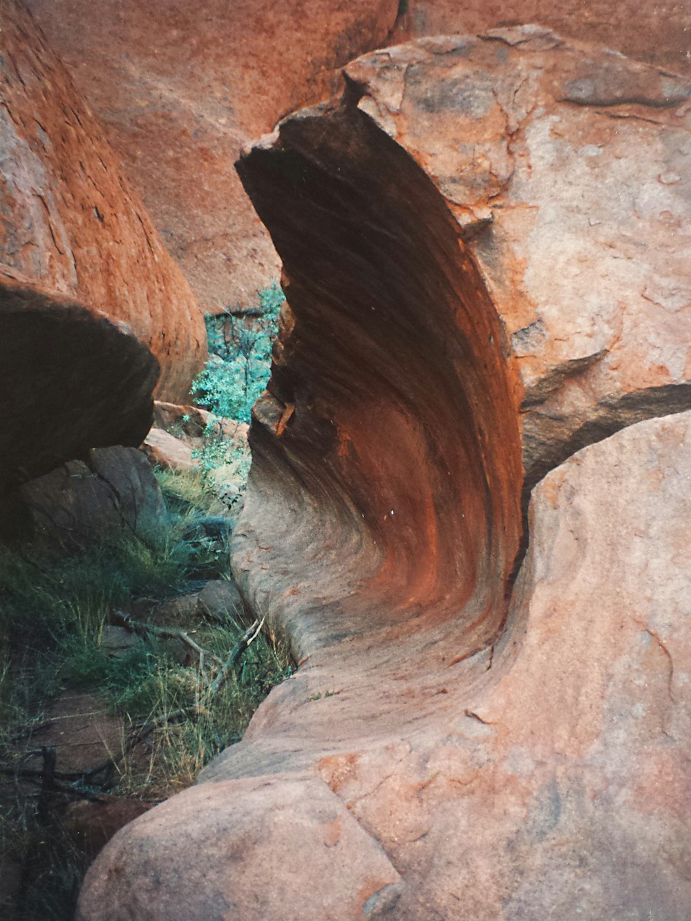 a large rock formation with grass growing out of it