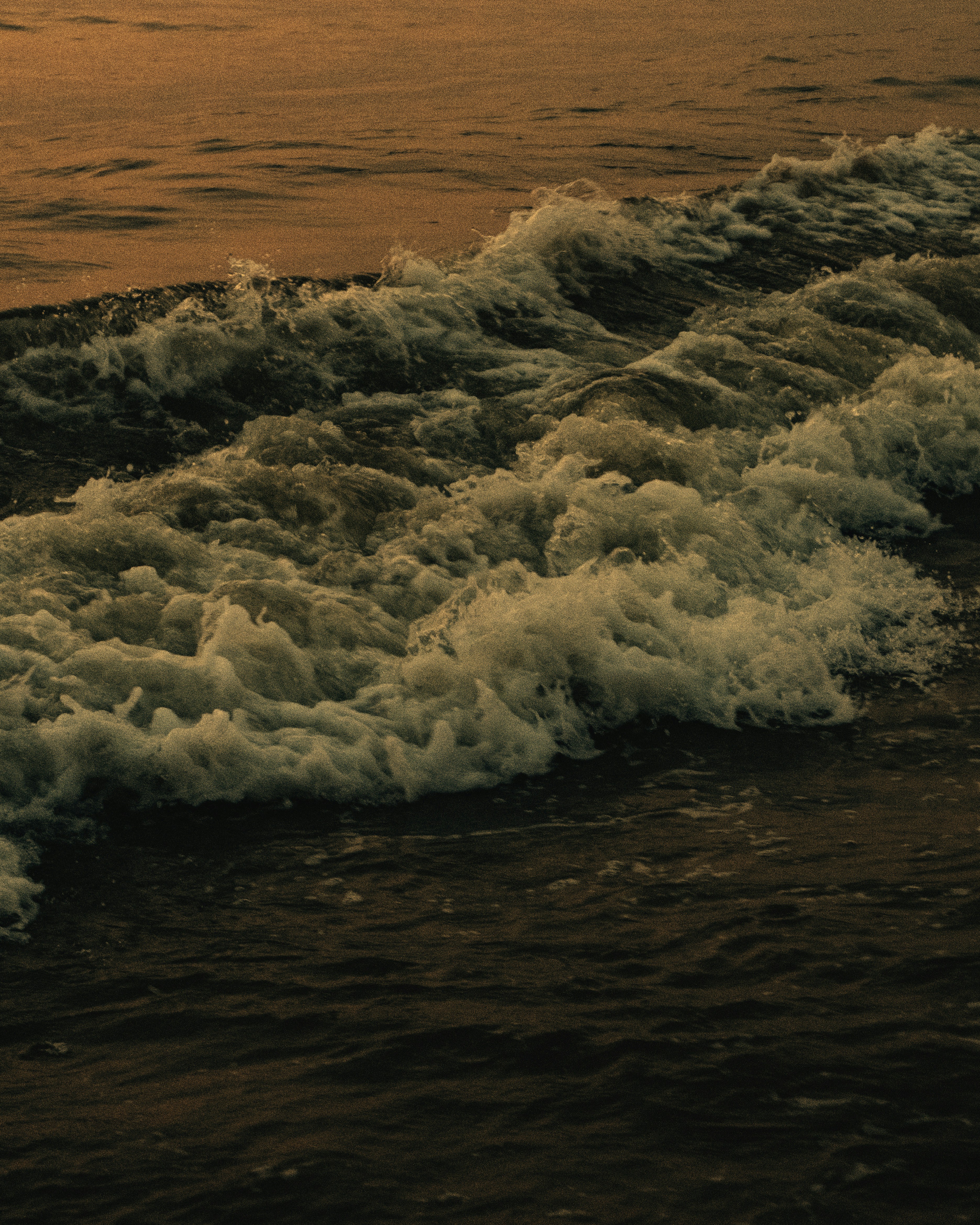 Photo by _pseudonavo_