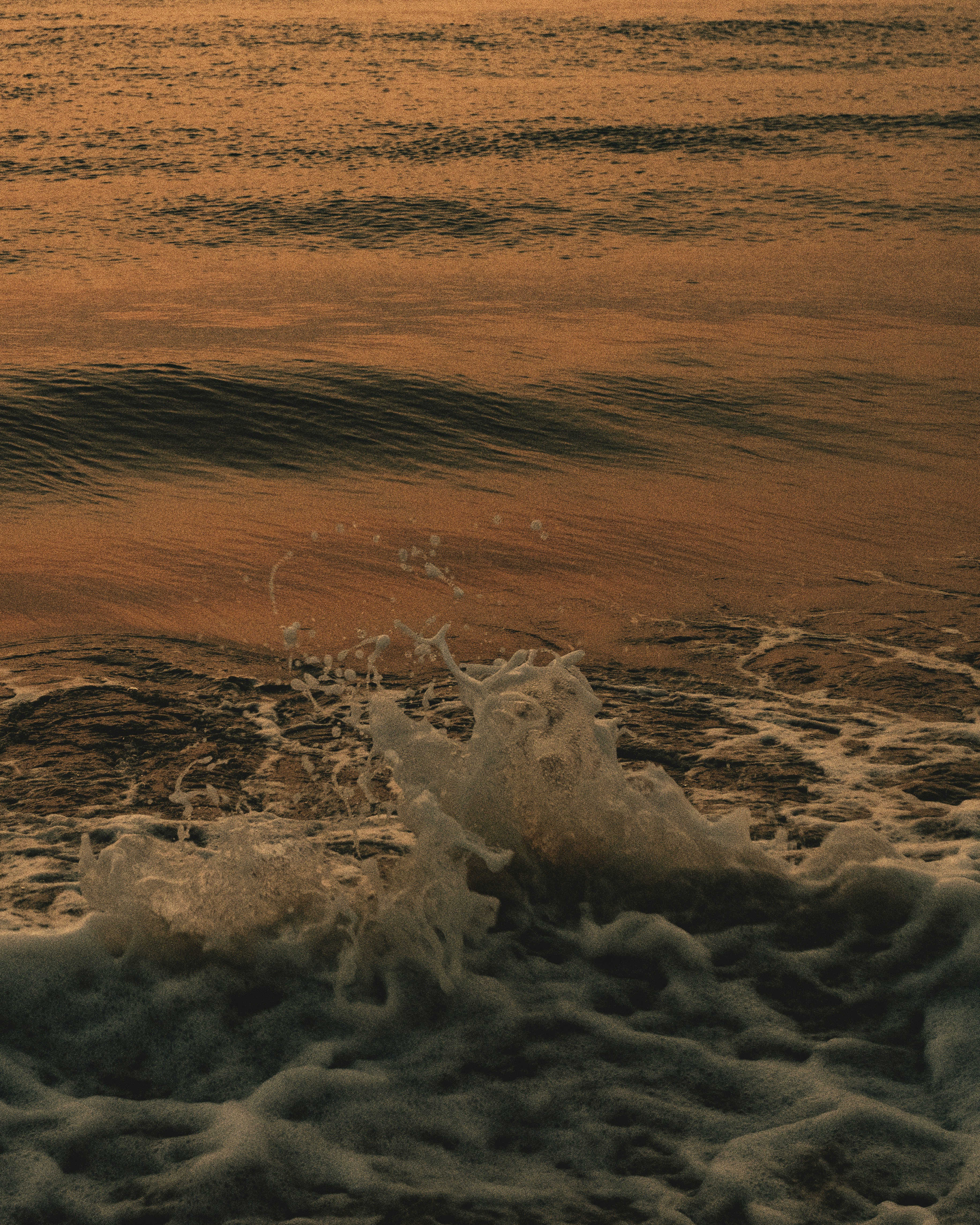 Photo by _pseudonavo_