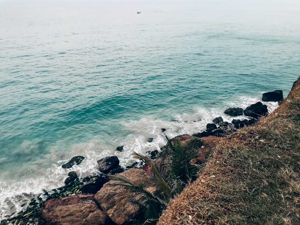 a view of the ocean from the top of a hill