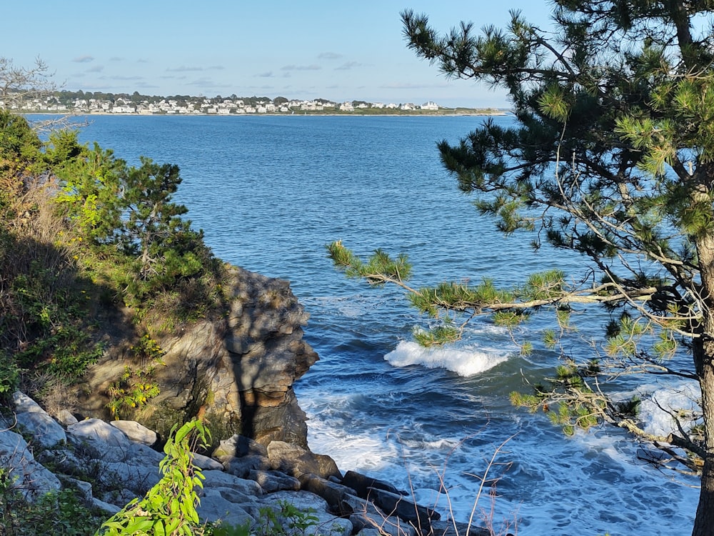 a body of water surrounded by trees and rocks