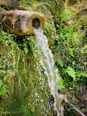 A restored spring flowing through a lush green landscape.