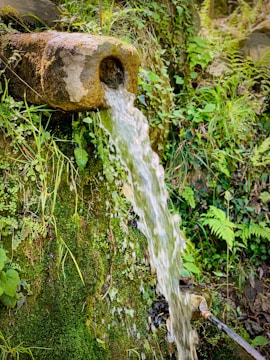 A restored spring flowing through a lush green landscape.