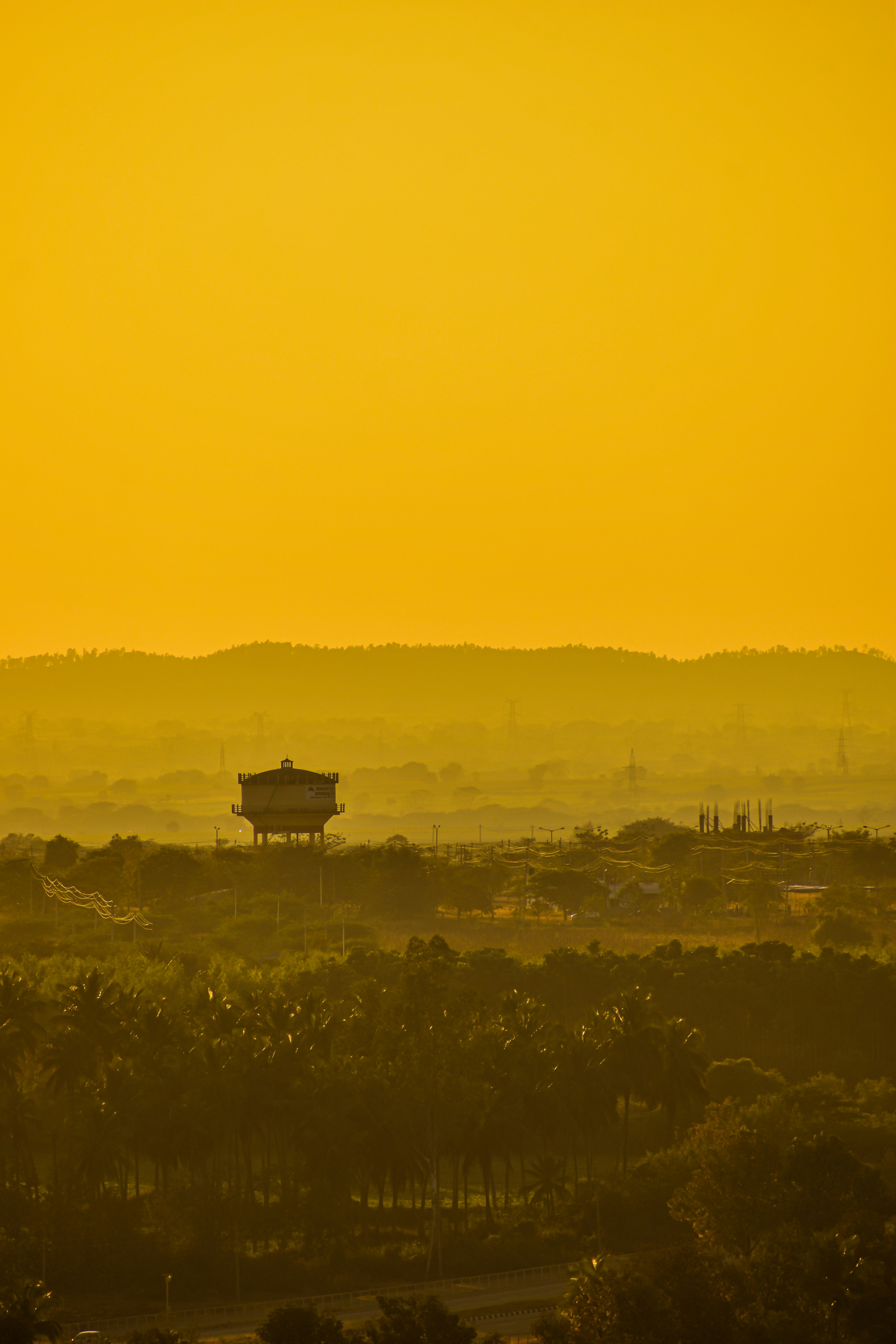 a plane flying over a lush green forest under a yellow sky