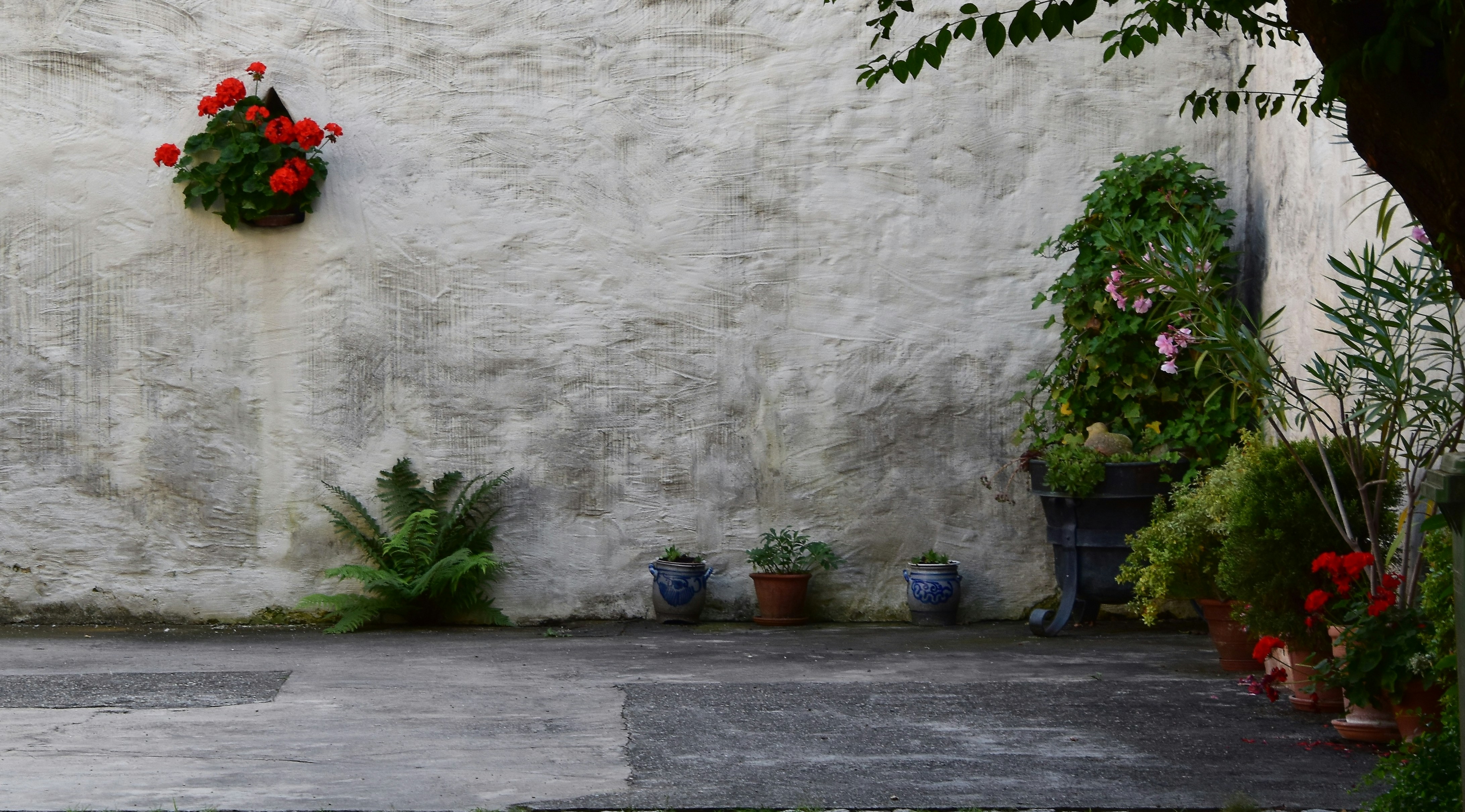 a white wall with potted plants on it