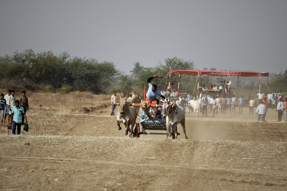 a group of people walking around a dirt field