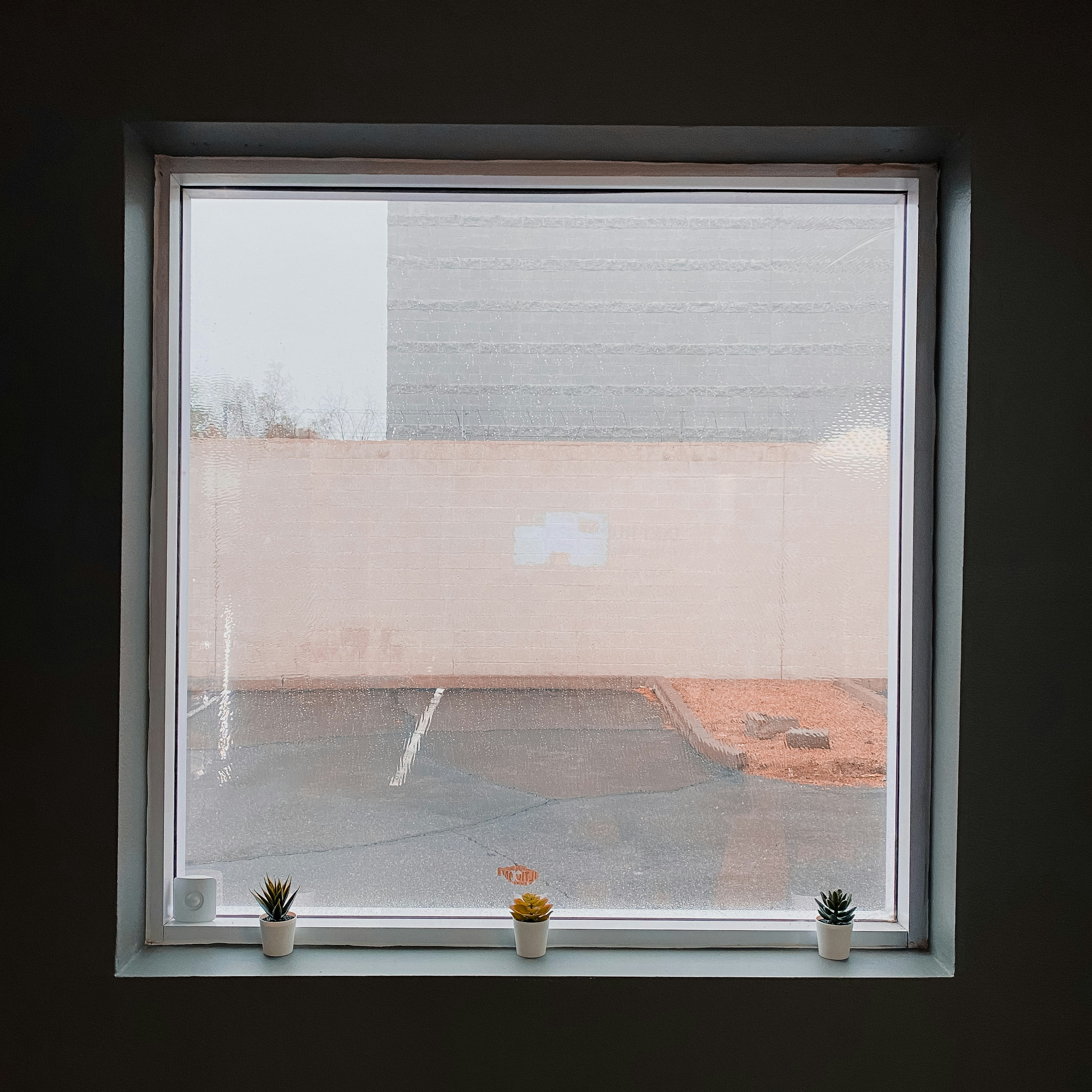 Photo by tylerchandlerr