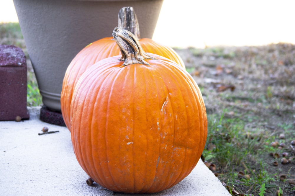 a large pumpkin sitting on the ground next to a potted plant
