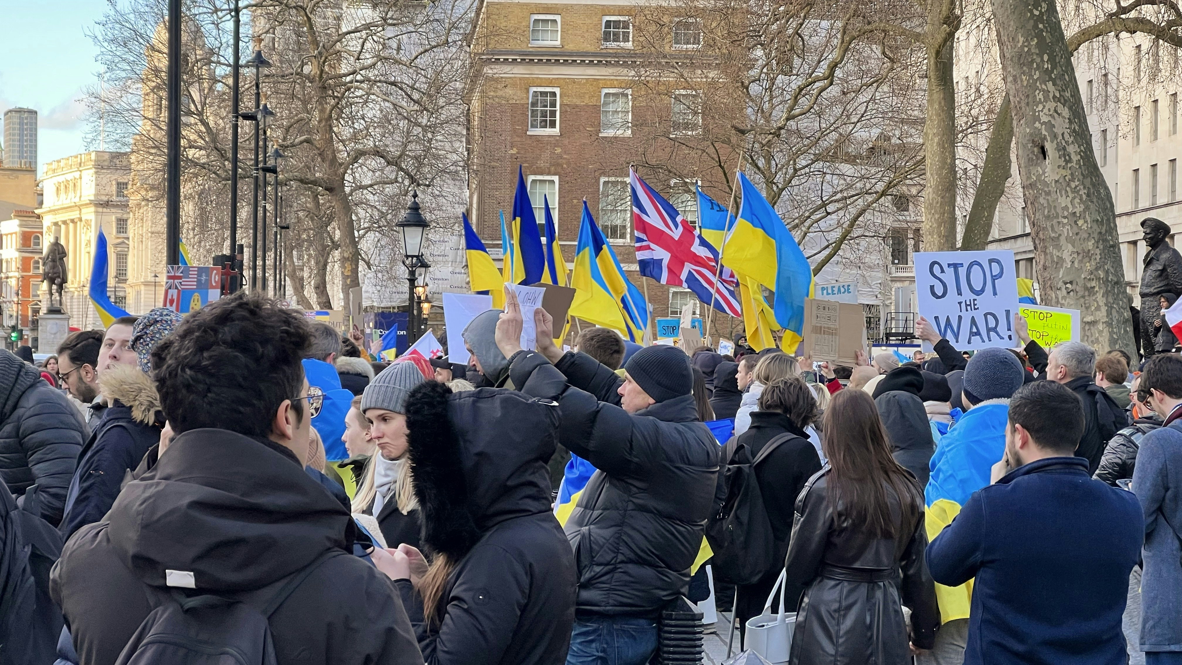 a crowd of people holding flags and signs