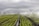 Rows of vibrant green crops in a field are being watered by numerous sprinkler systems, creating arcs of water against a backdrop of cloudy skies. The neat lines of plants and the water mist add a sense of order and calm.
