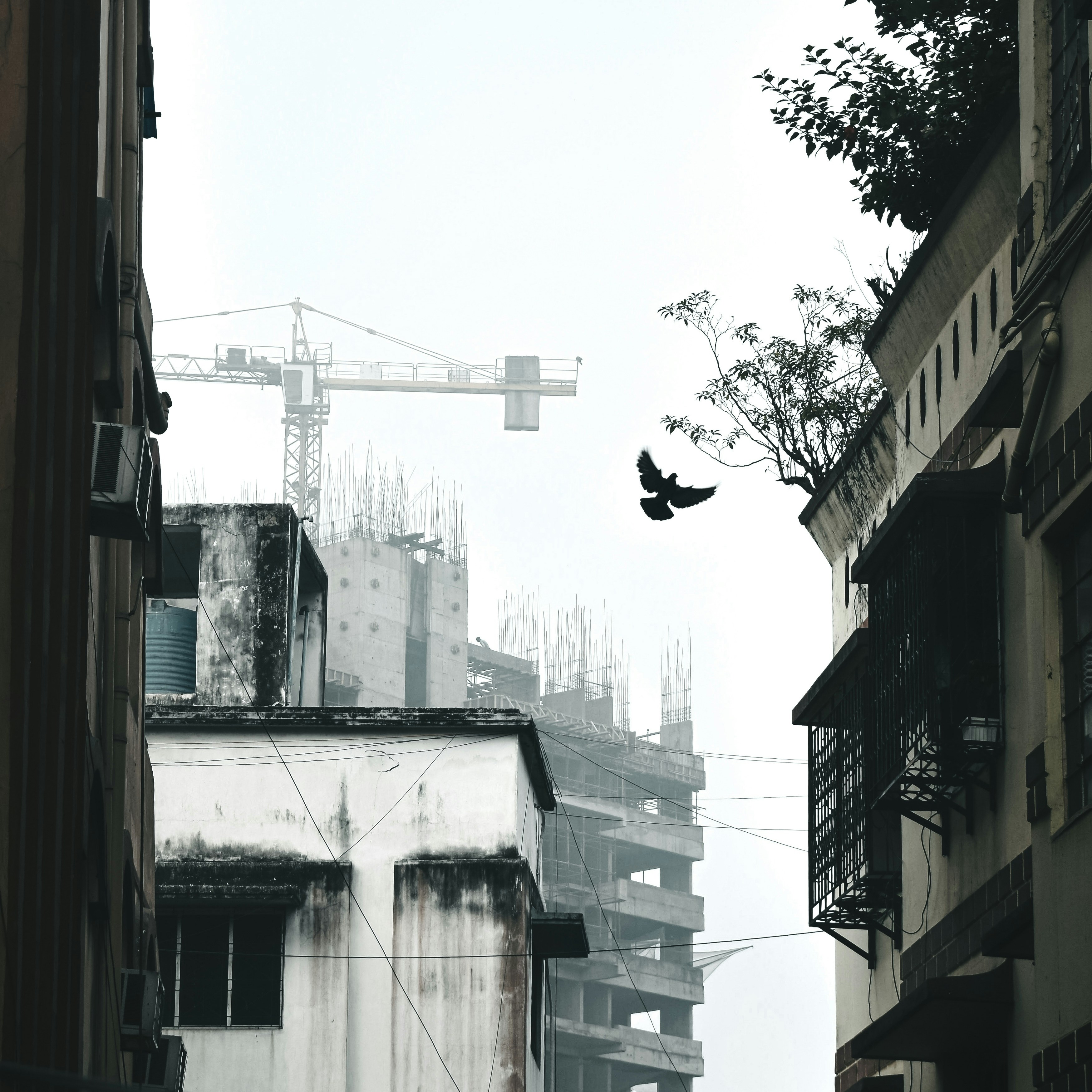 a bird flying in the air near a building under construction