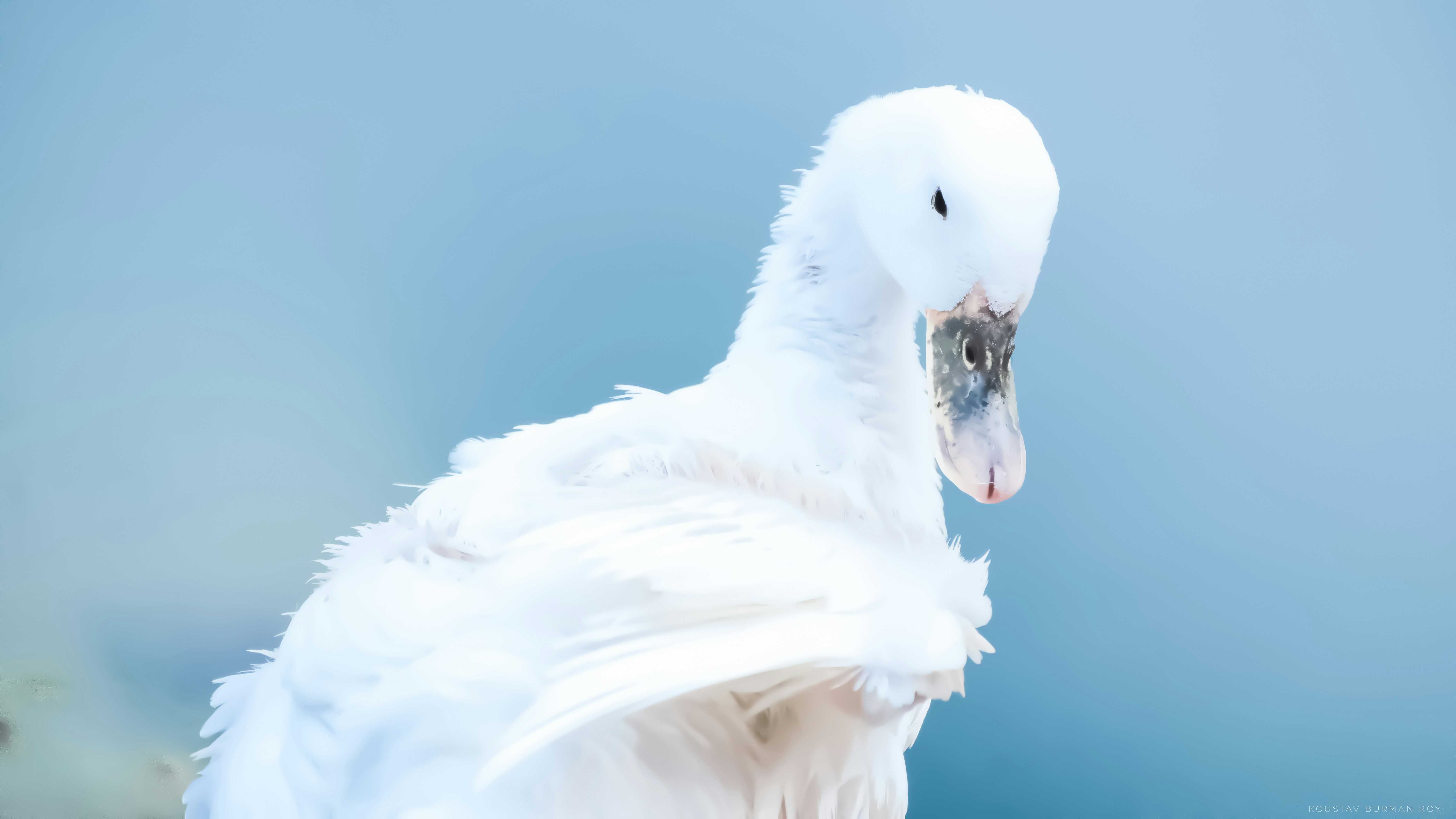 Photo by koustavburmanroy_12345