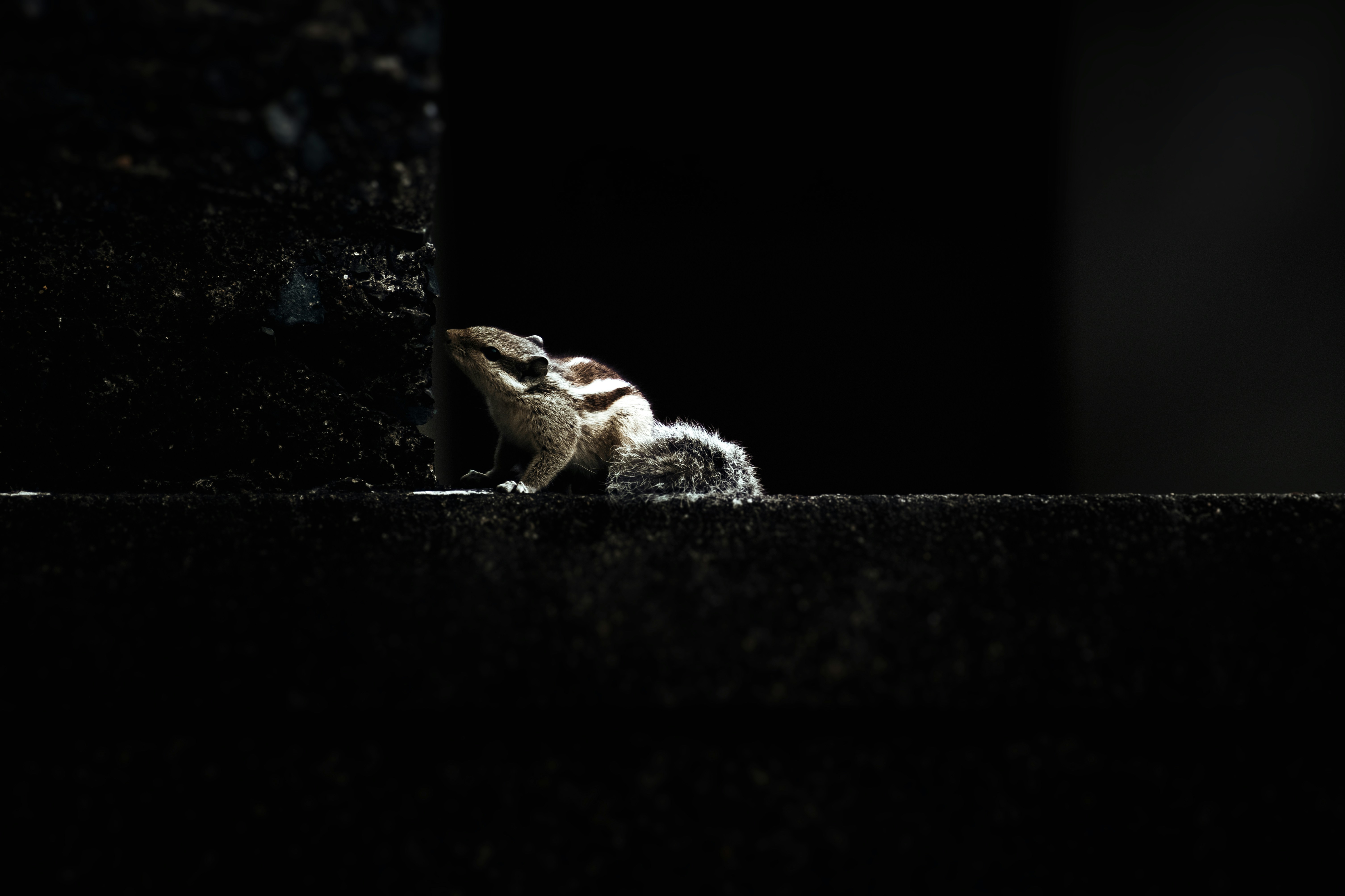 Photo by koustavburmanroy_12345