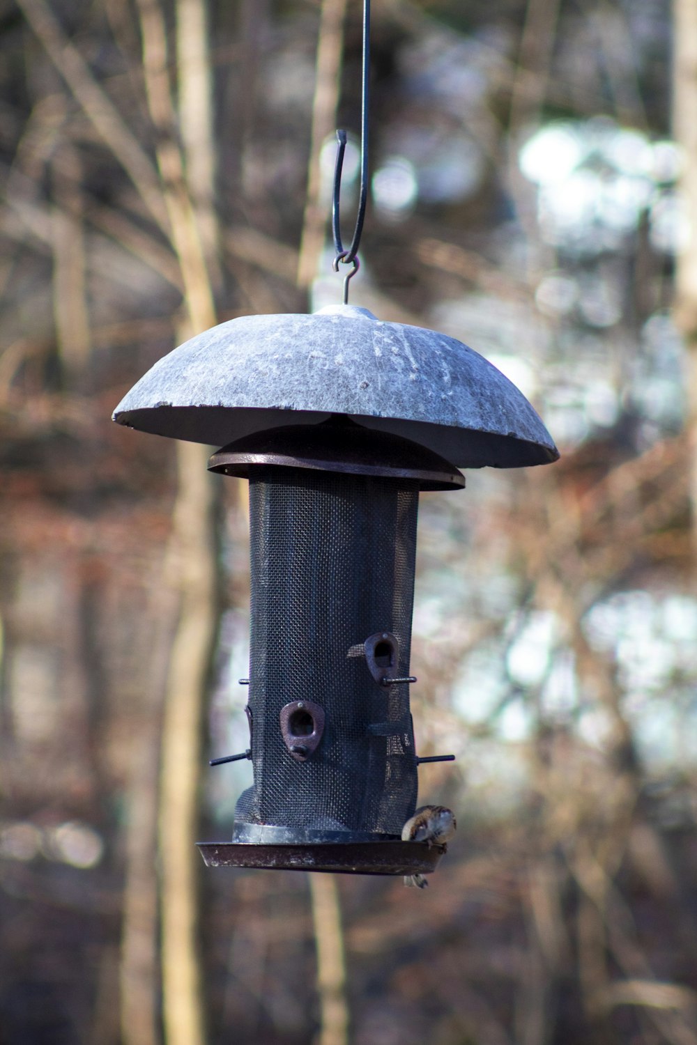 a bird feeder hanging from a tree in the woods