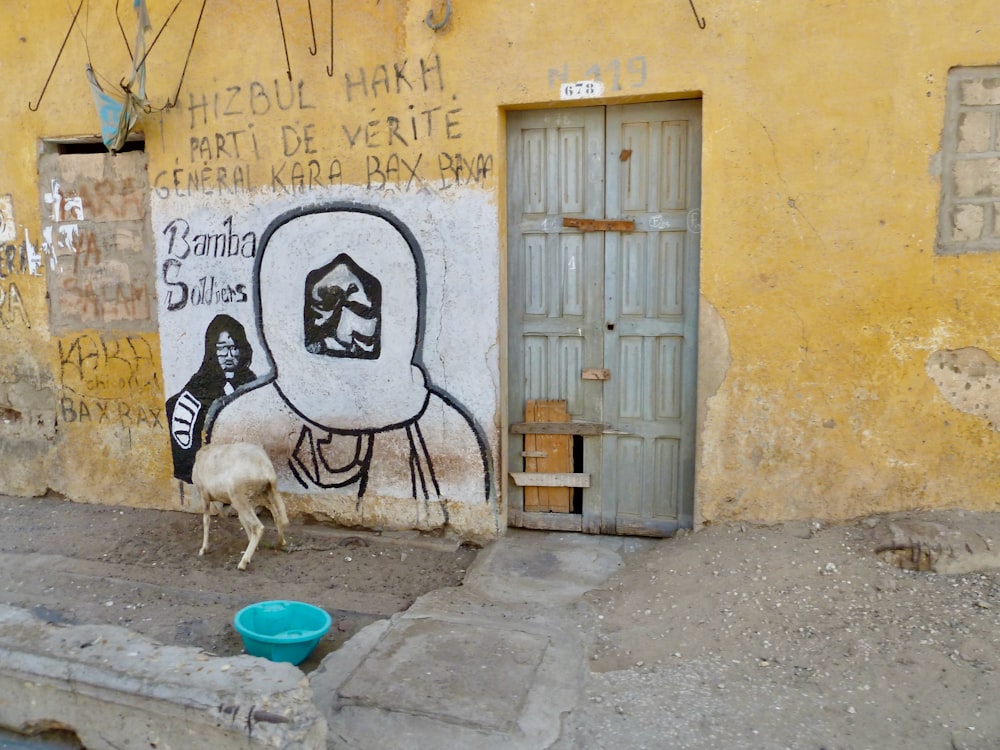 a goat standing in front of a yellow building