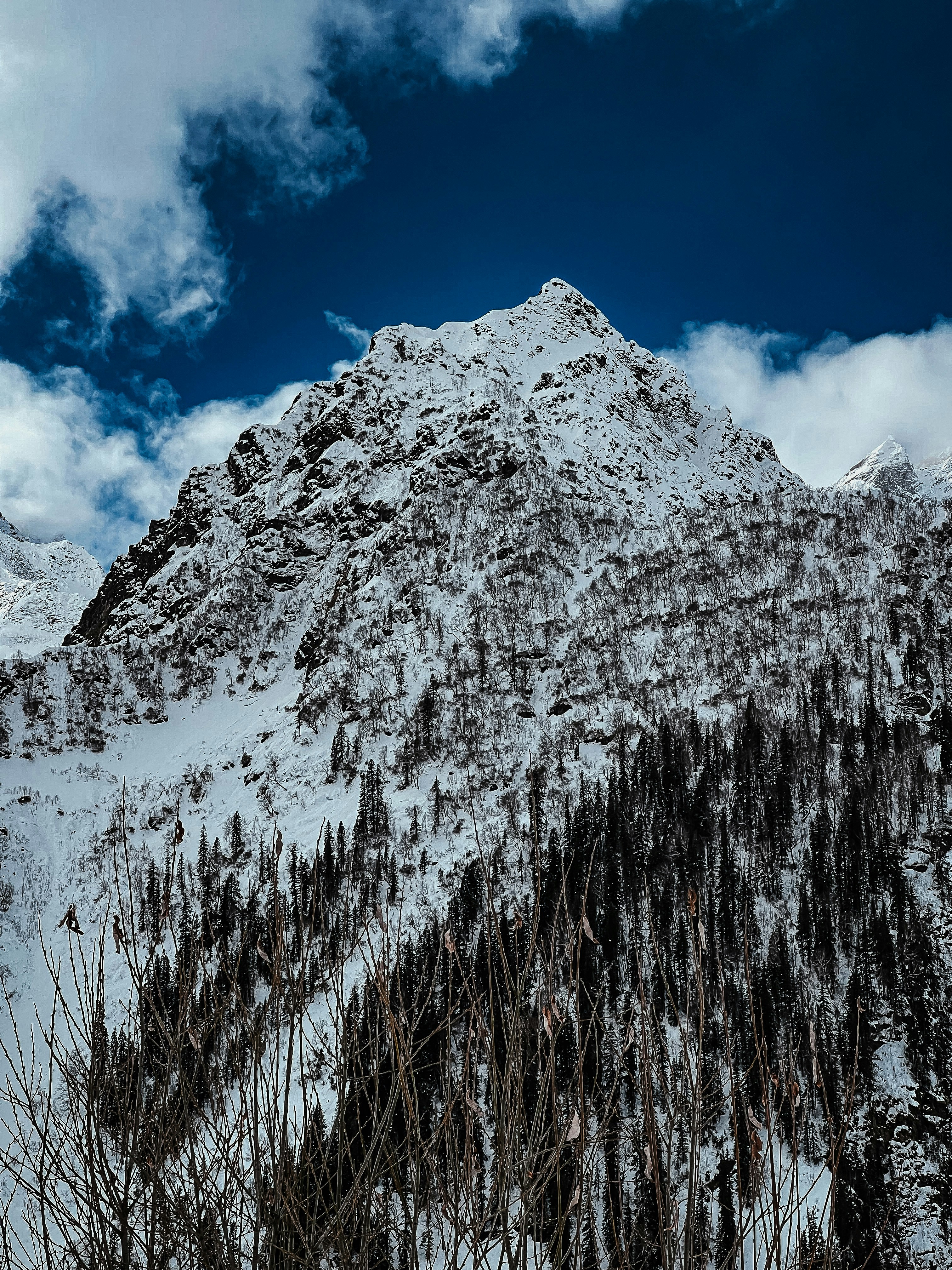 a snow covered mountain with trees on the side