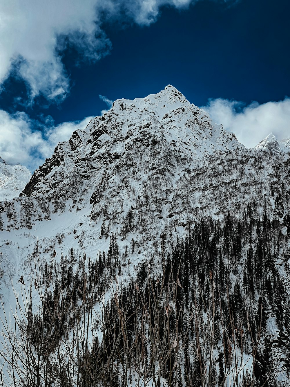 a snow covered mountain with trees on the side