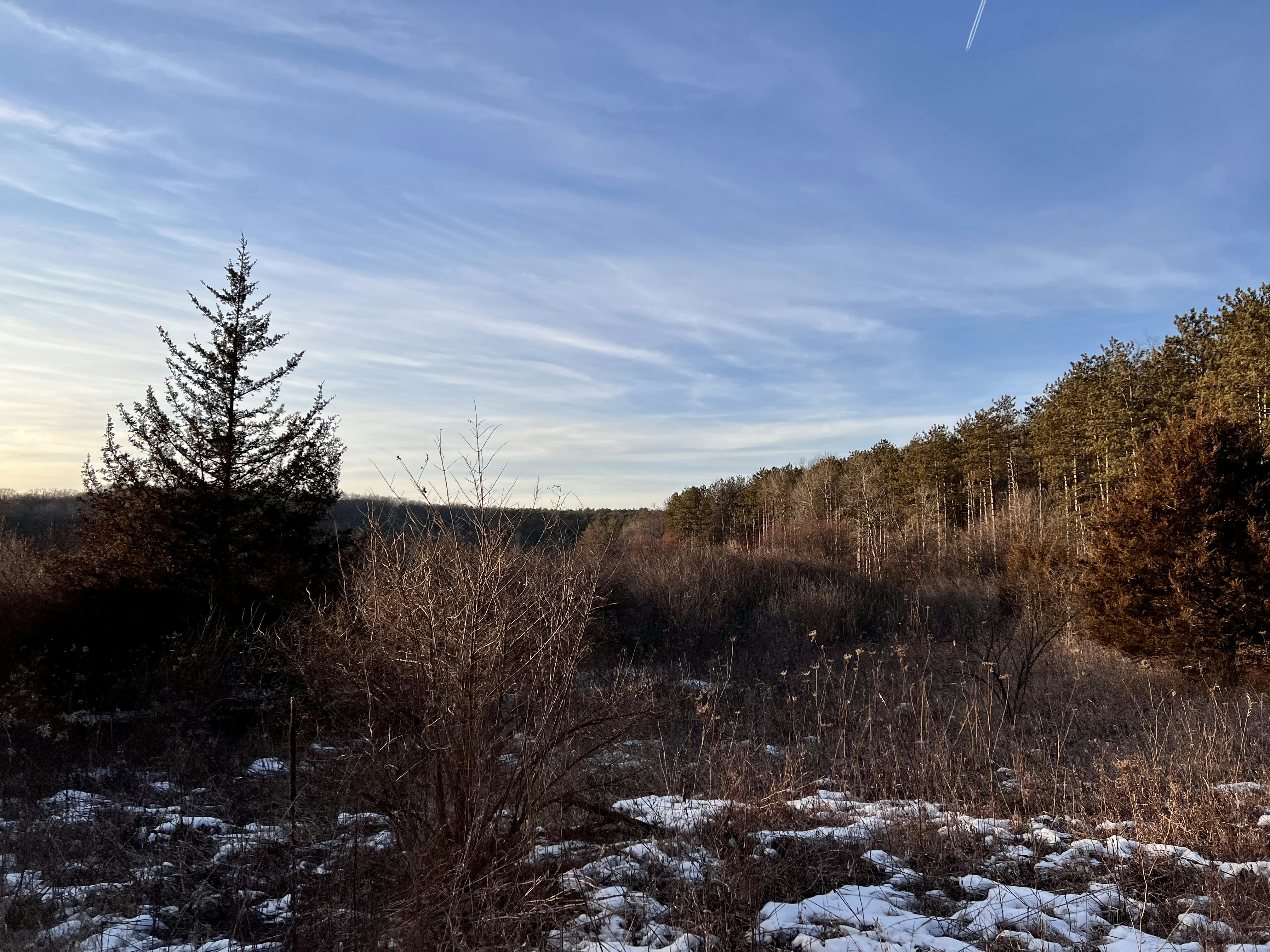 Photo by apaturairis