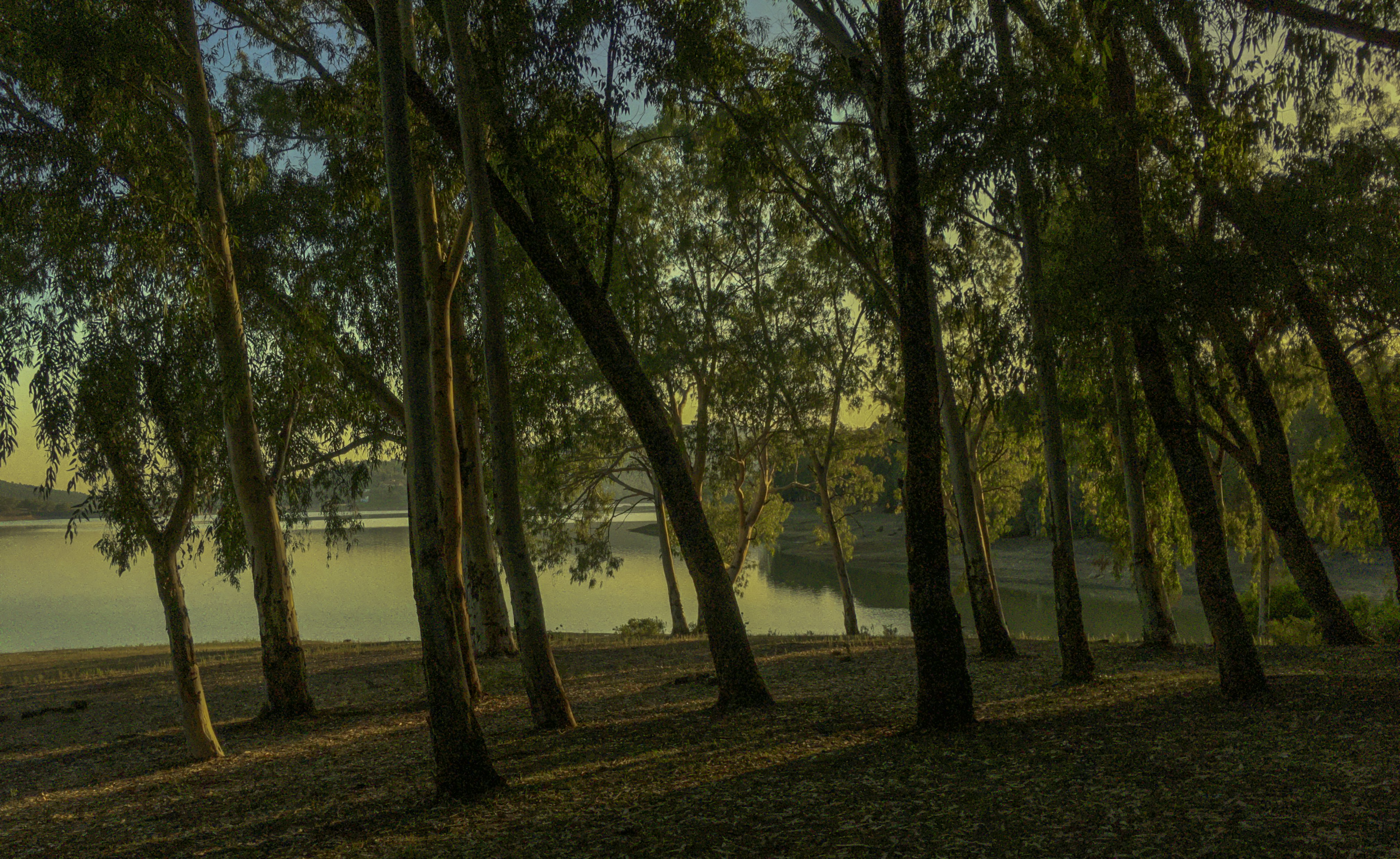 Photo by haythemmoulabit