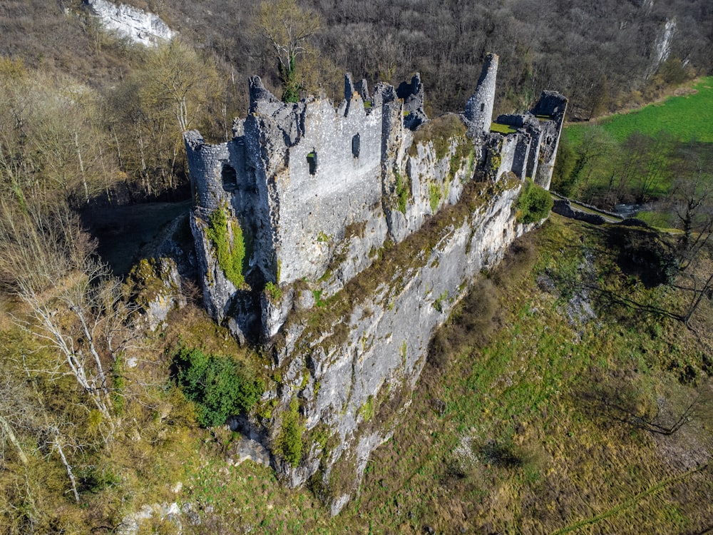 an aerial view of a castle in the middle of a forest