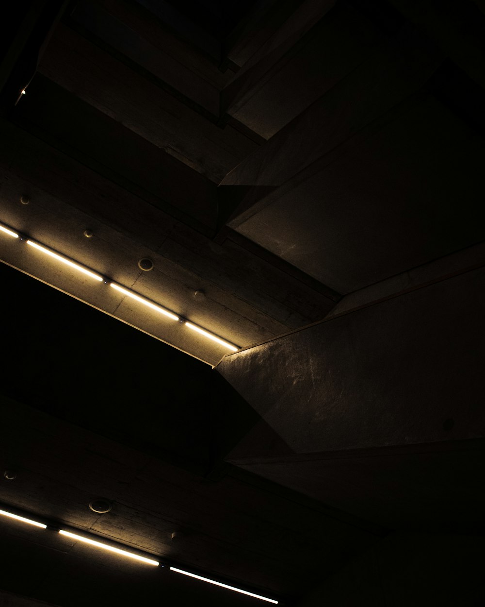 a black and white photo of a ceiling with lights