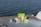 Several stainless steel food containers with green lids are placed on a metallic table, overlooking a body of water. The containers are filled with assorted fruits and snacks, including blueberries, mango slices, and pieces of bread or chips. The scene suggests a leisurely outdoor meal or picnic by the water.