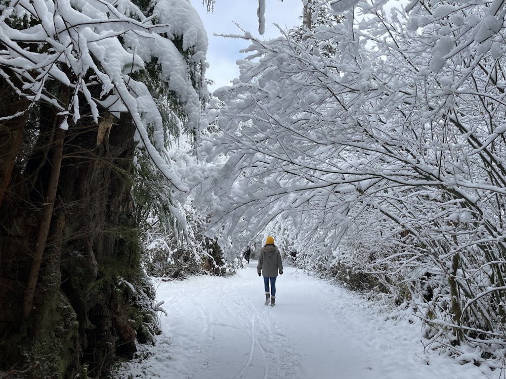 a person walking down a snow covered path