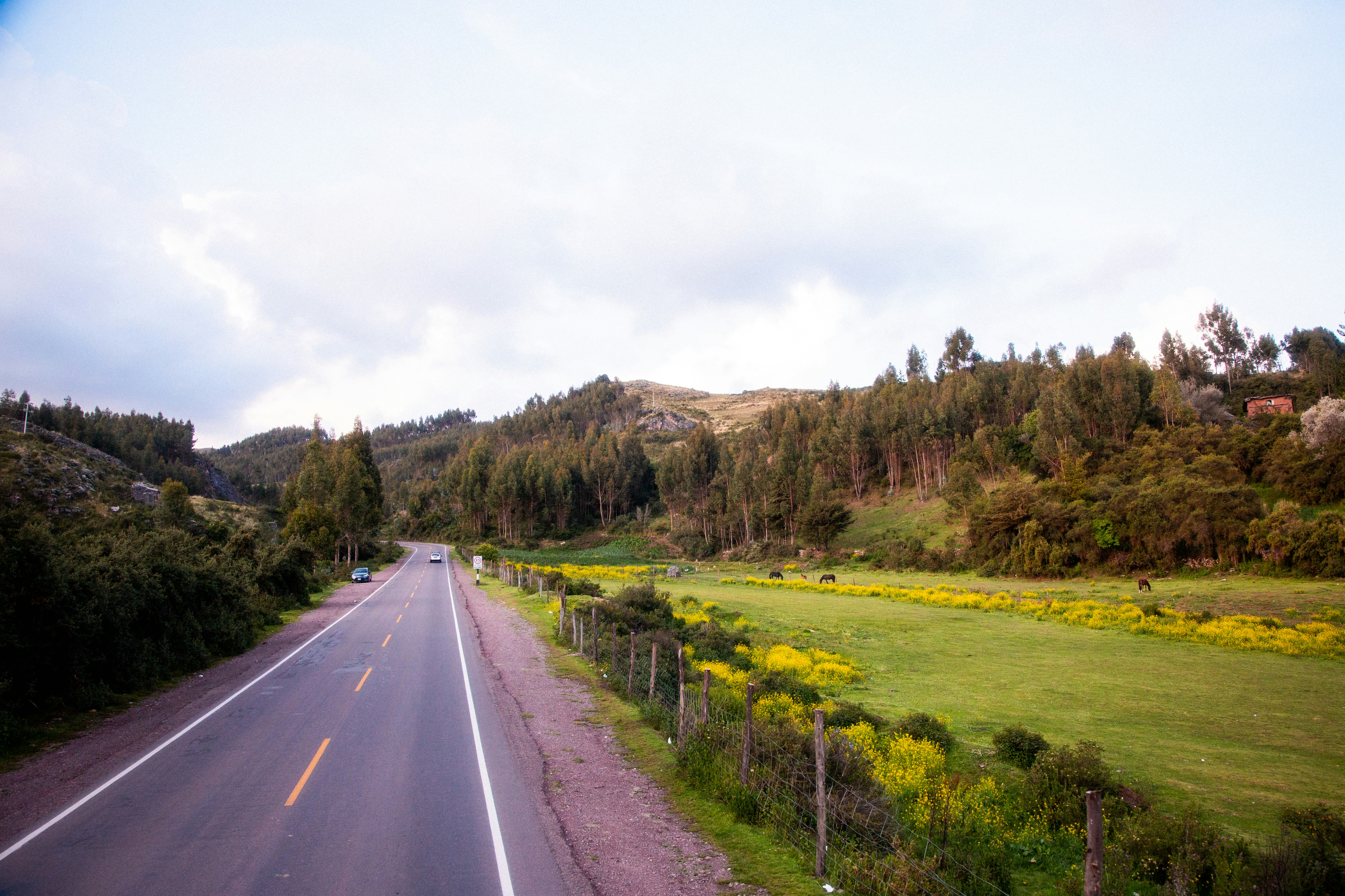 Photo by xapalacioscx