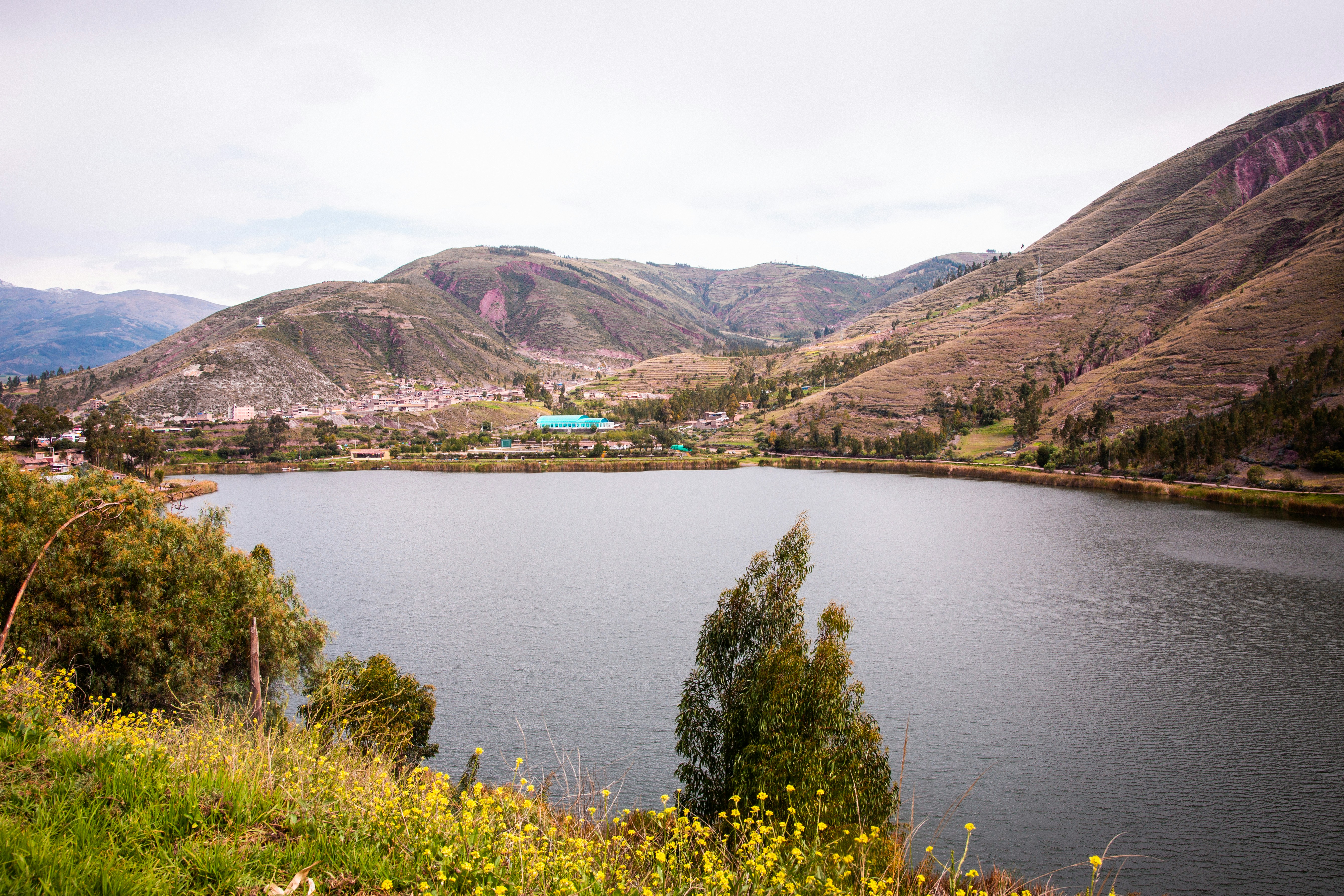 Photo by xapalacioscx