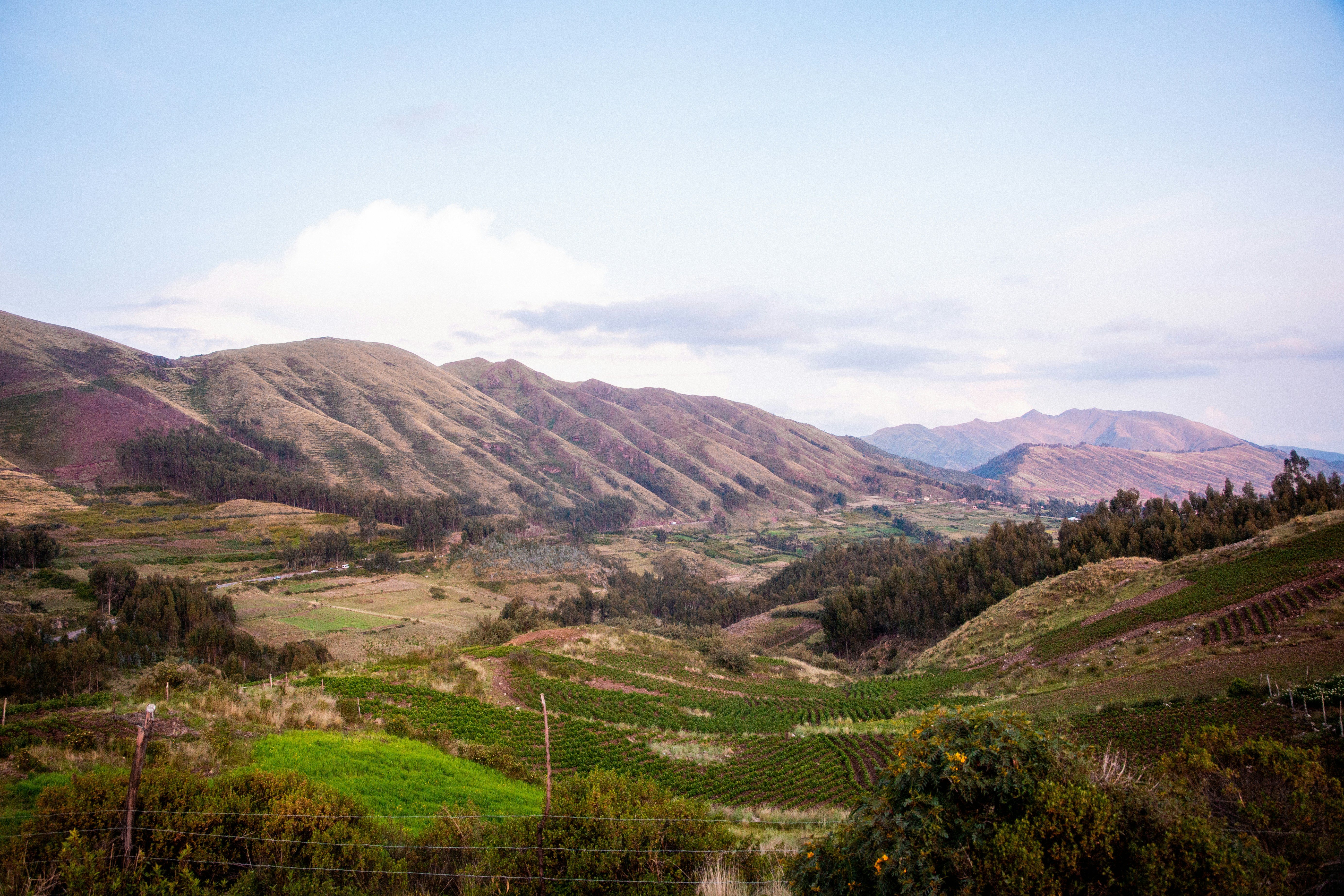 Photo by xapalacioscx