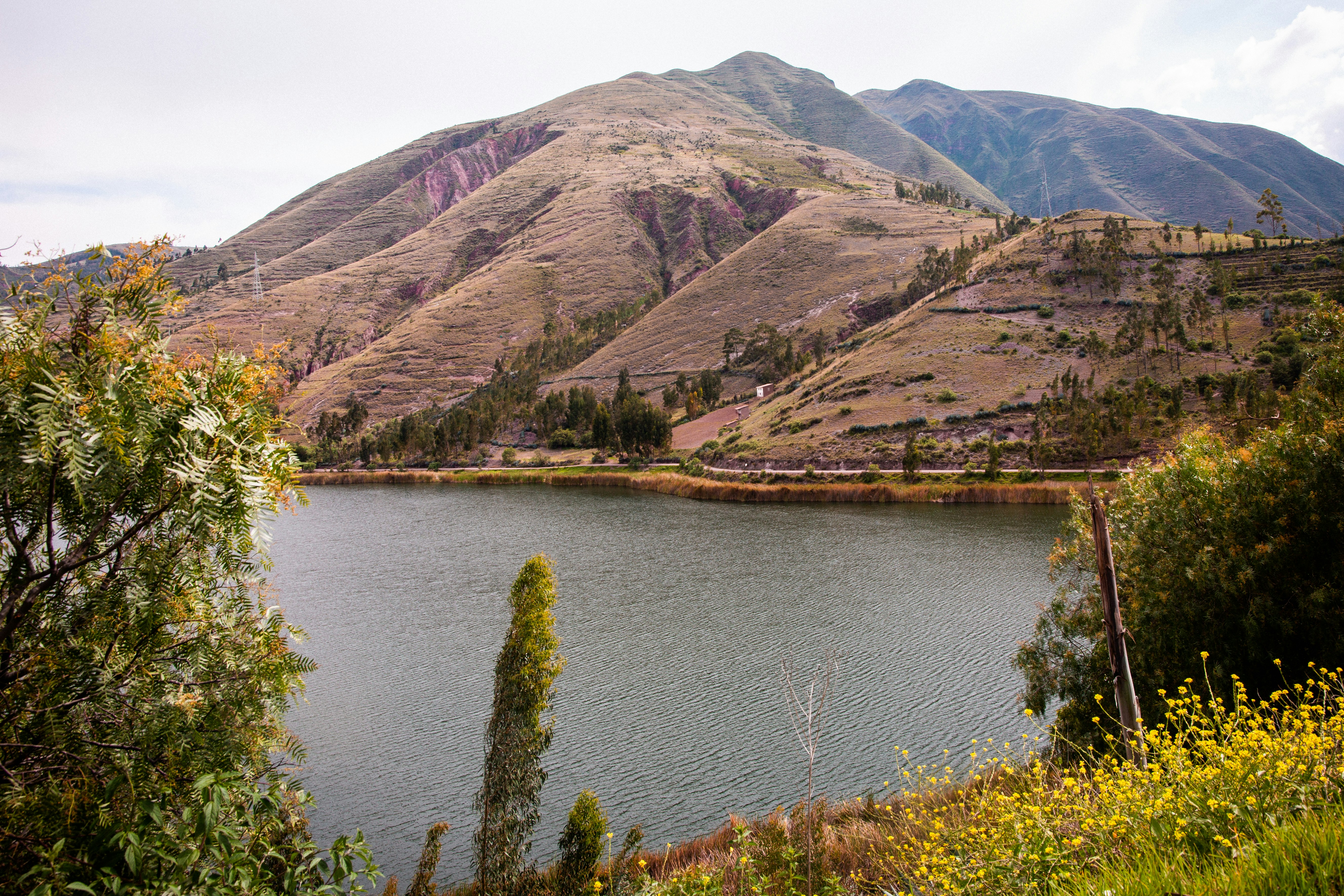 Photo by xapalacioscx