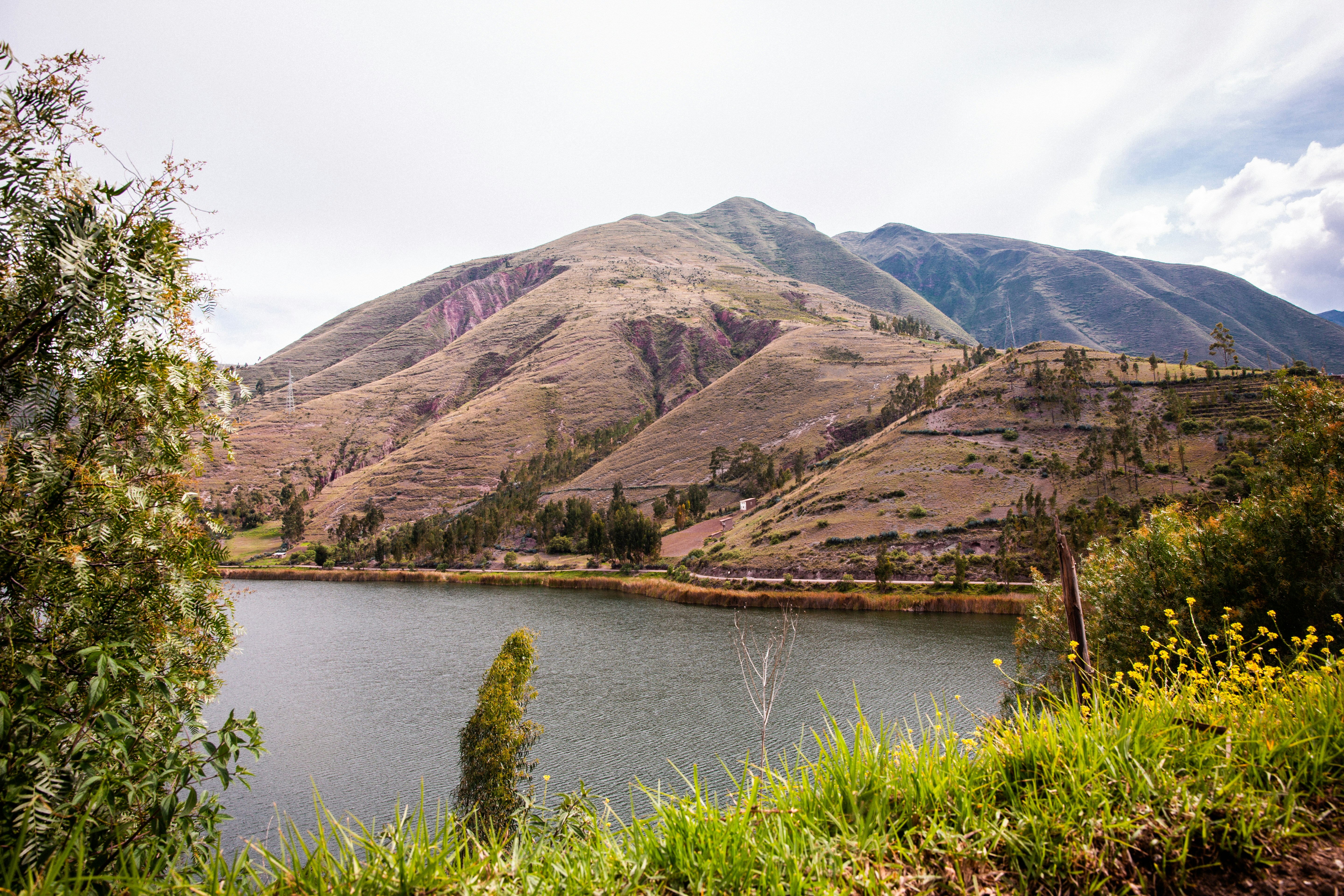 Photo by xapalacioscx