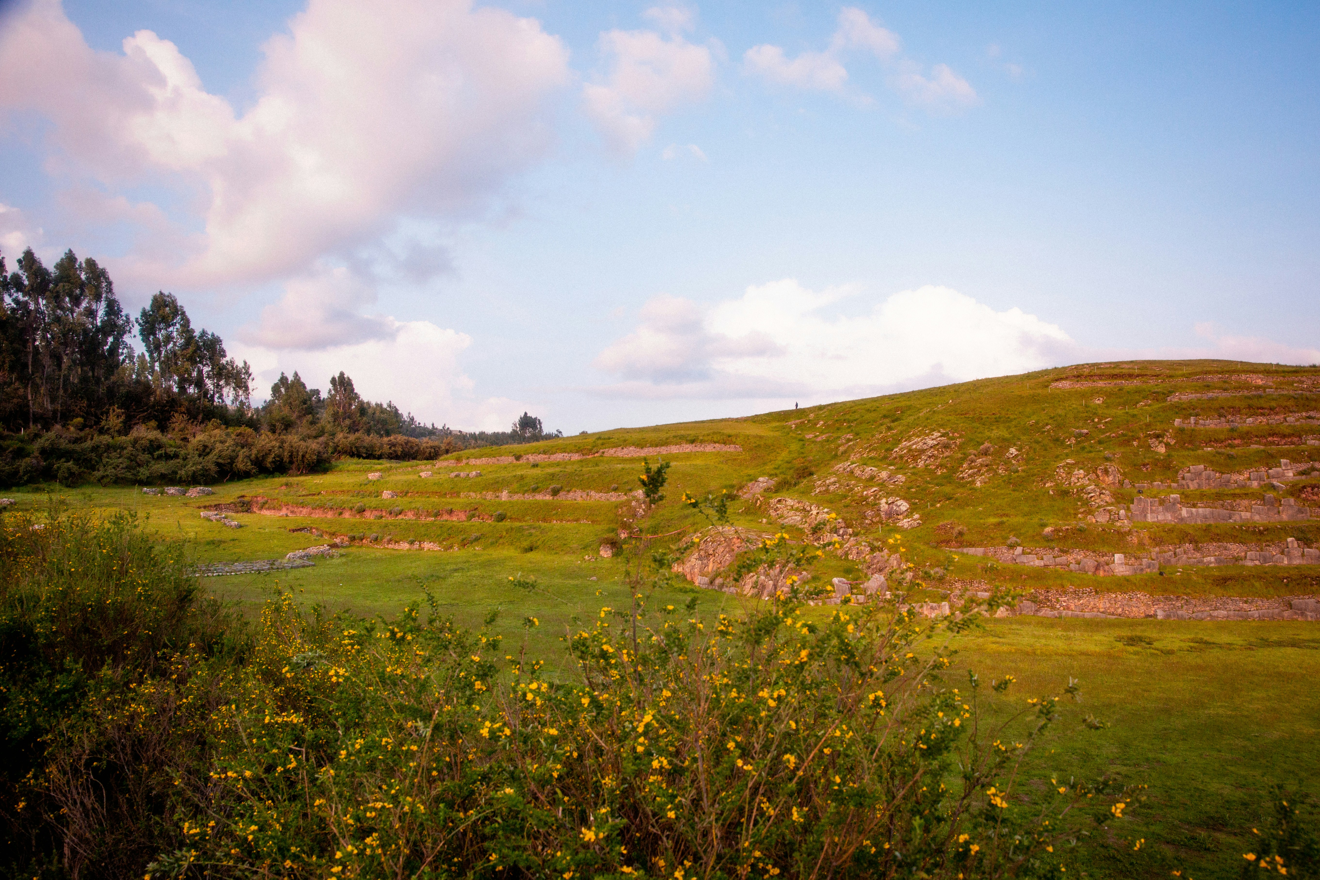 Photo by xapalacioscx