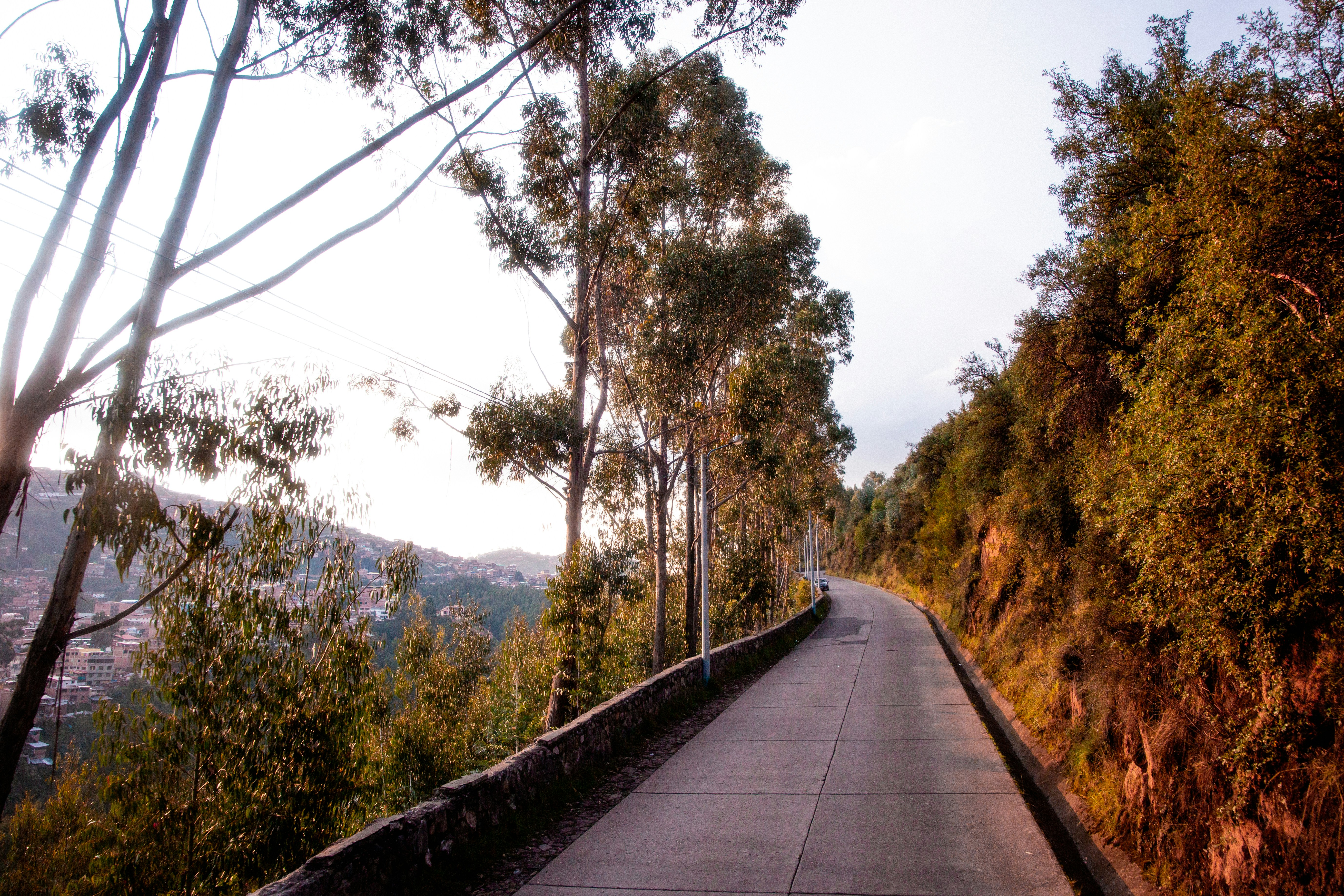 Photo by xapalacioscx