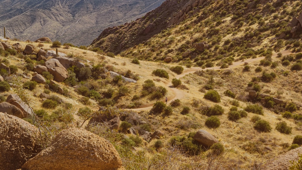 a view of a mountain with a trail going through it