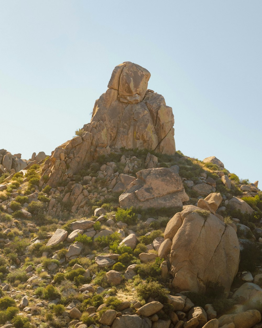 a mountain with rocks and plants growing on it