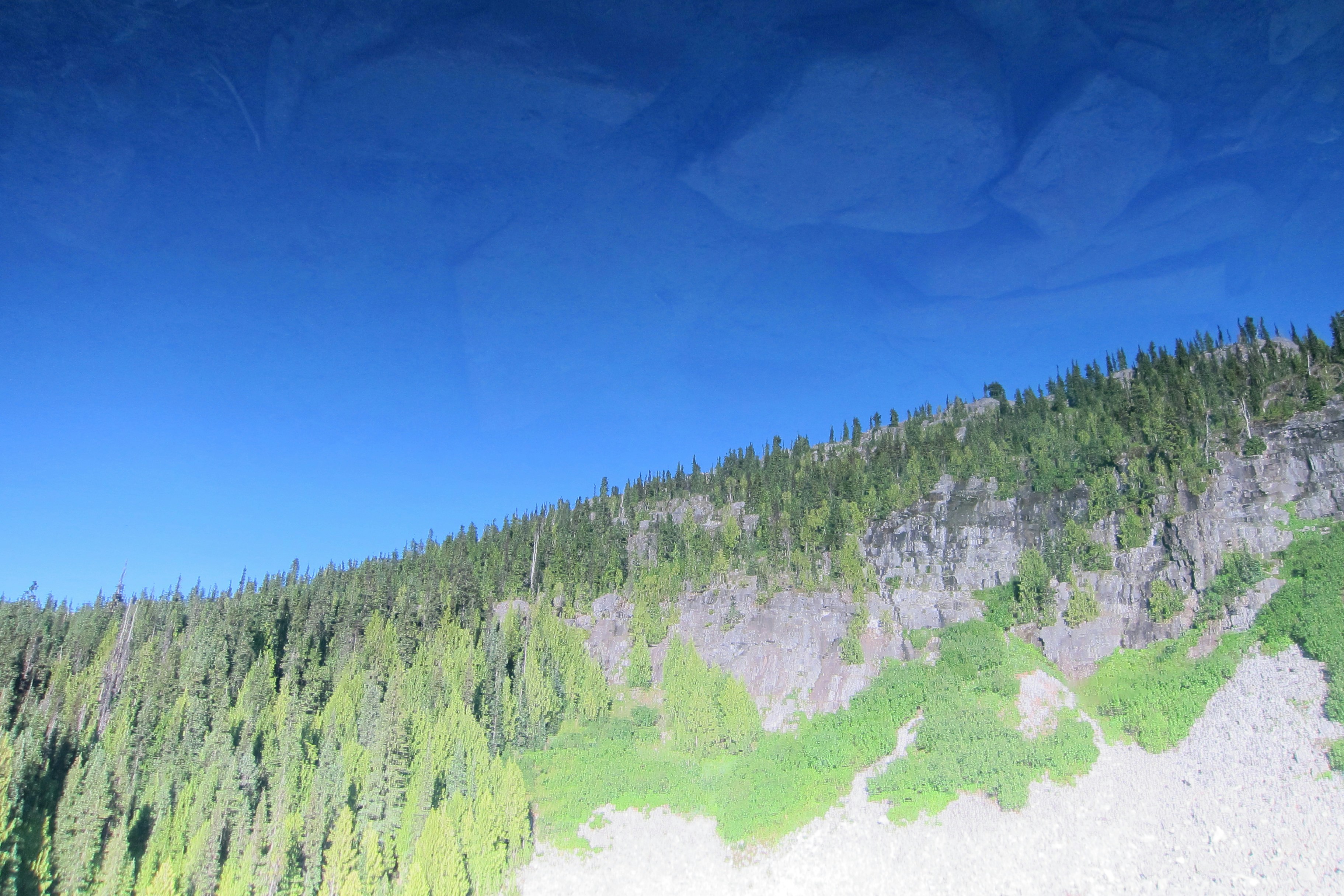 a view of a mountain with trees on the side of it