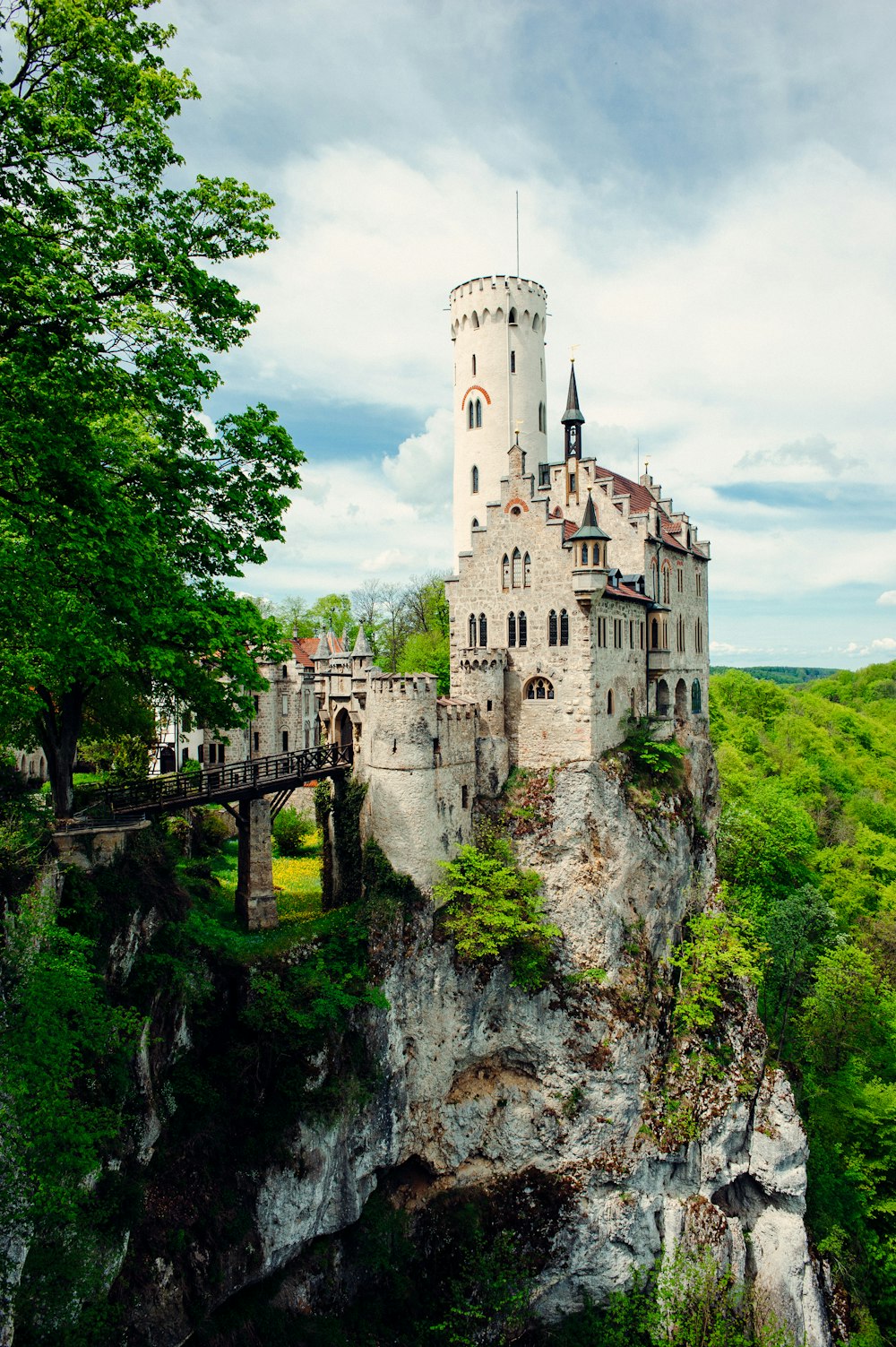 a castle on top of a cliff in the middle of a forest