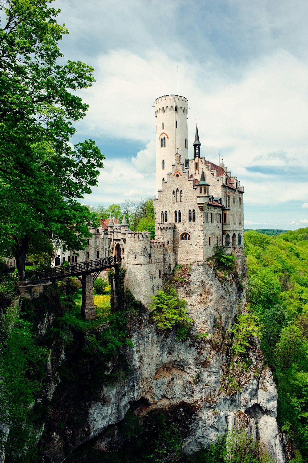 Un castillo en la cima de un acantilado en medio de un bosque