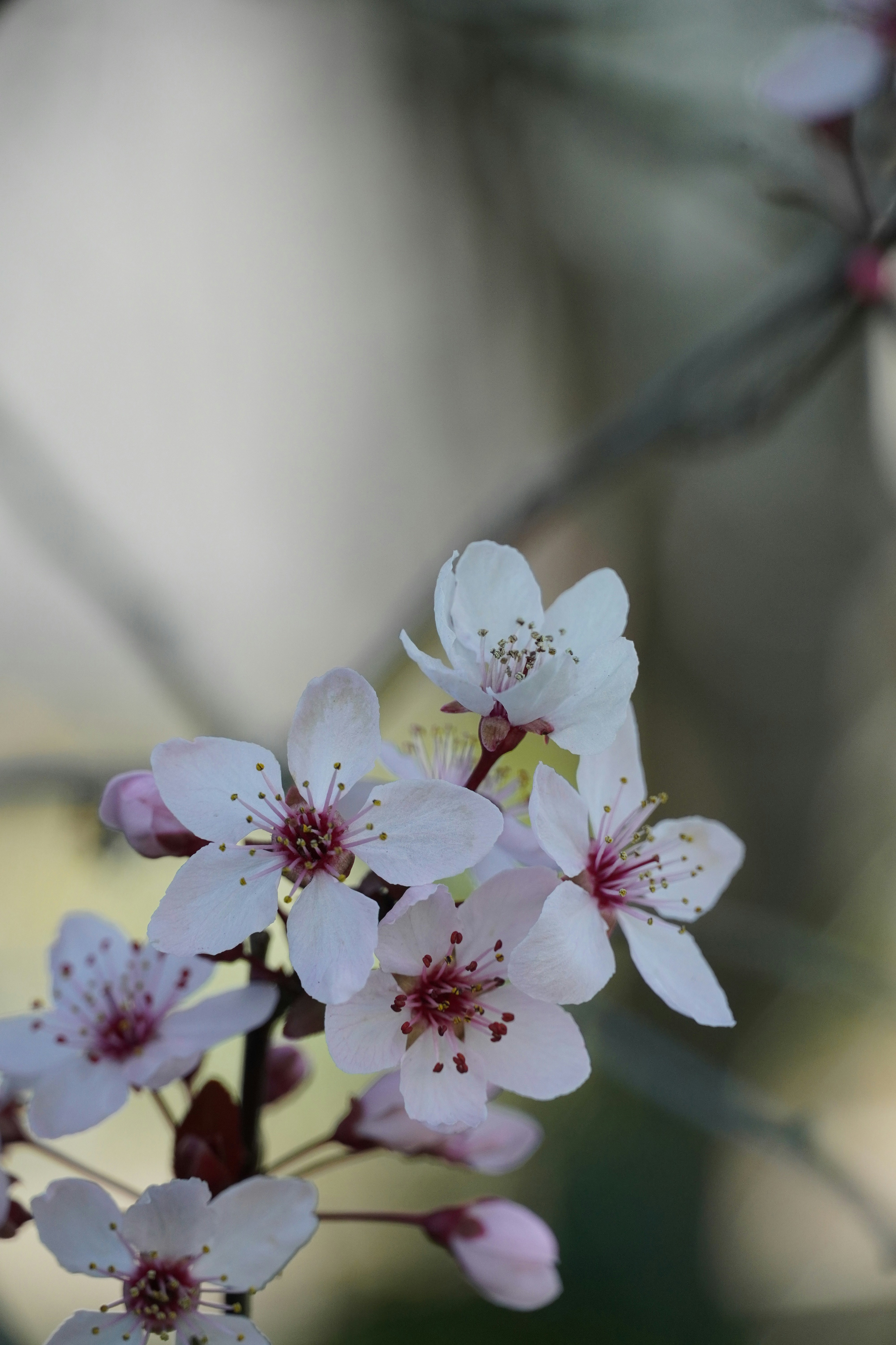 Photo by chapelbeach