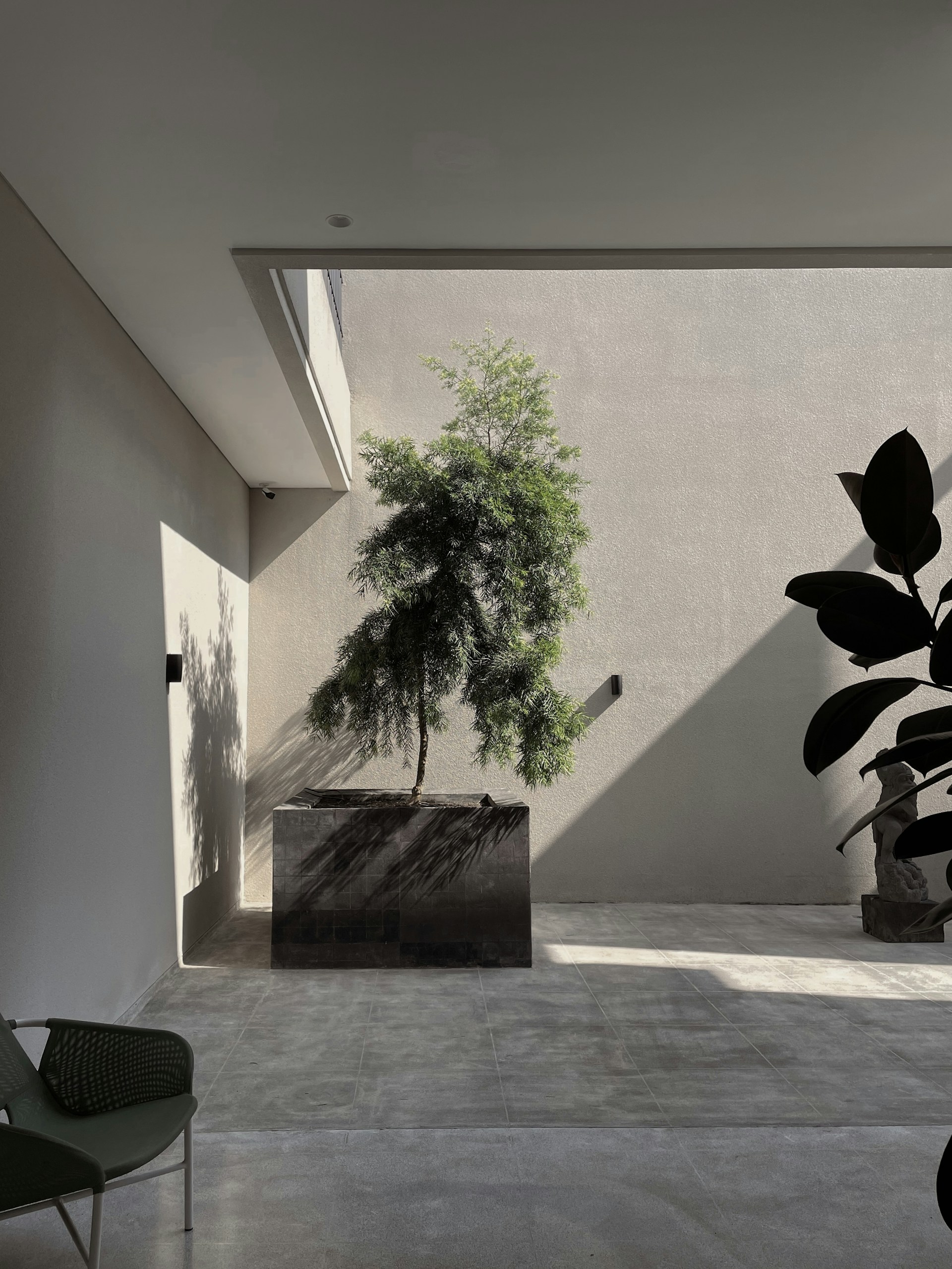 a room with a chair and a tree in it