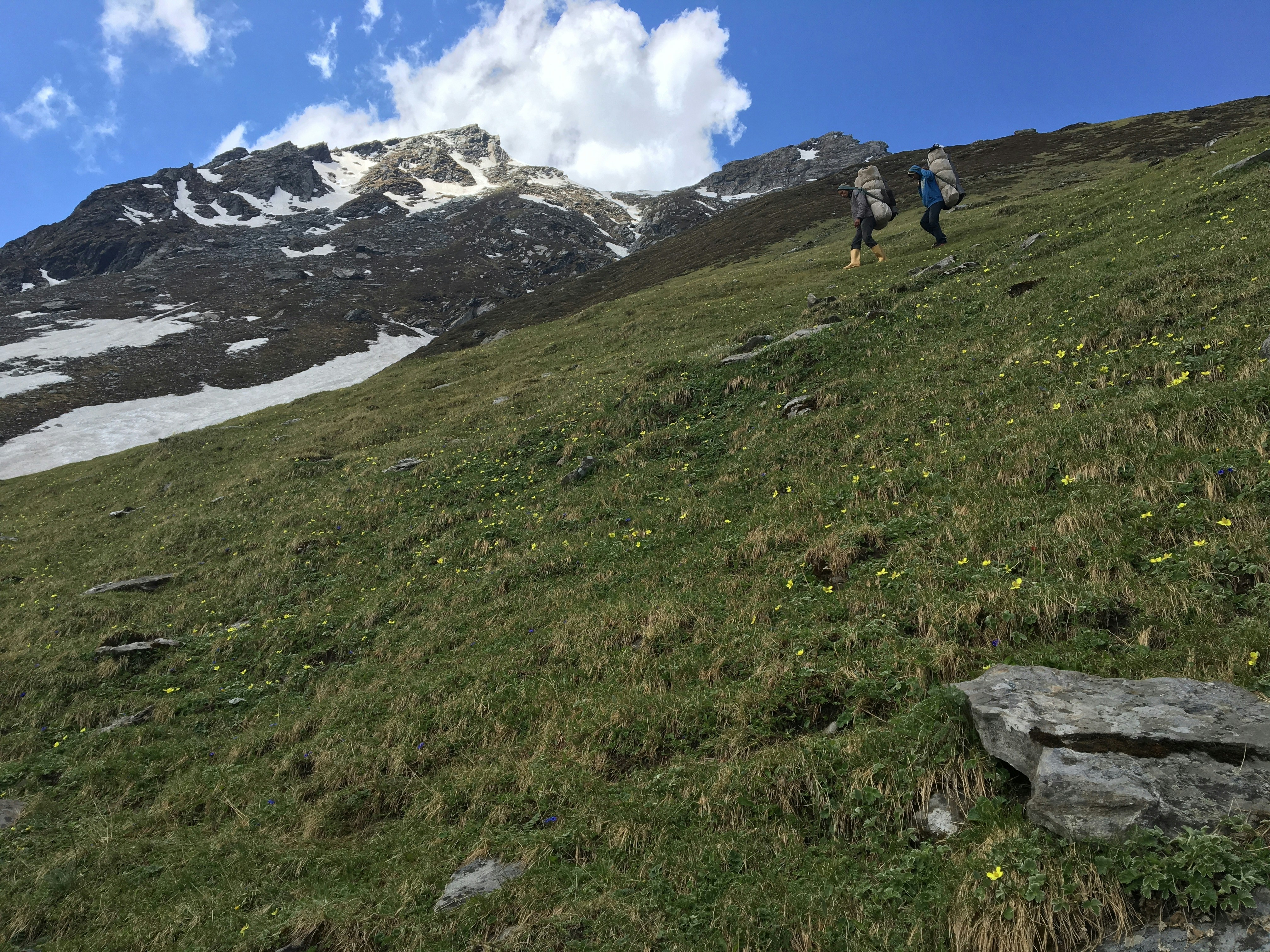 Trekking in the Himalayas