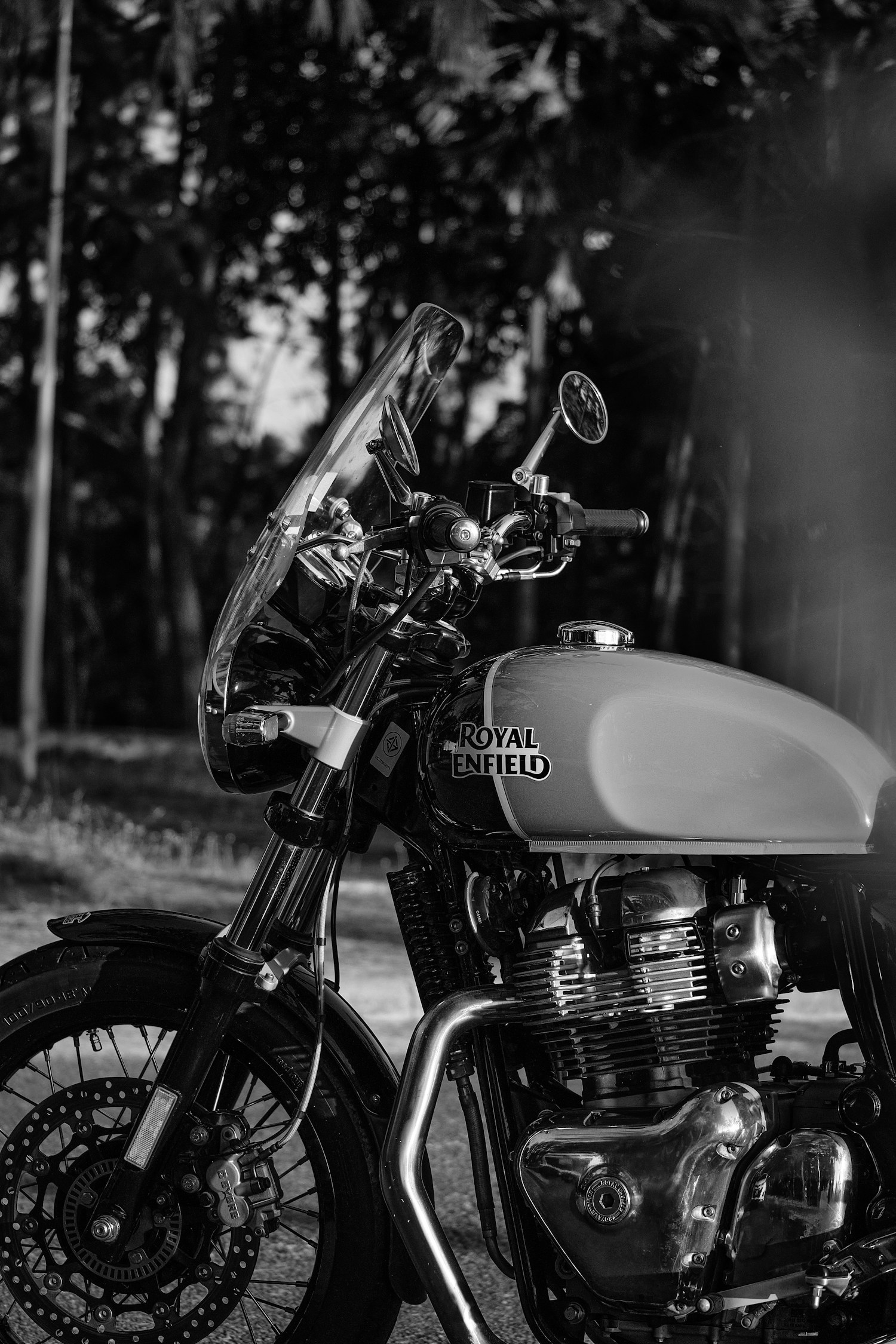 Customized Motorcycles