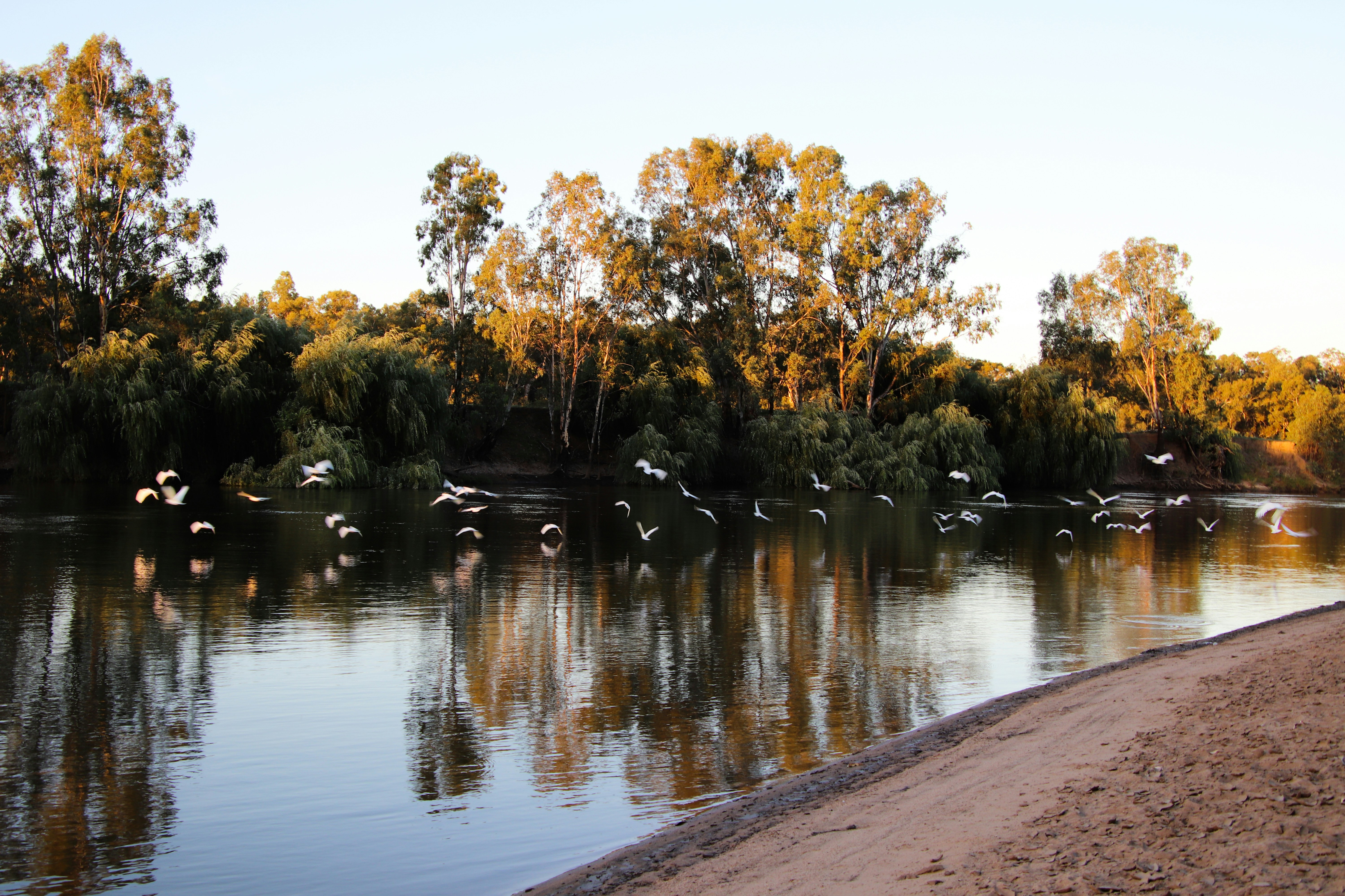 Wagga Wagga, New South Wales