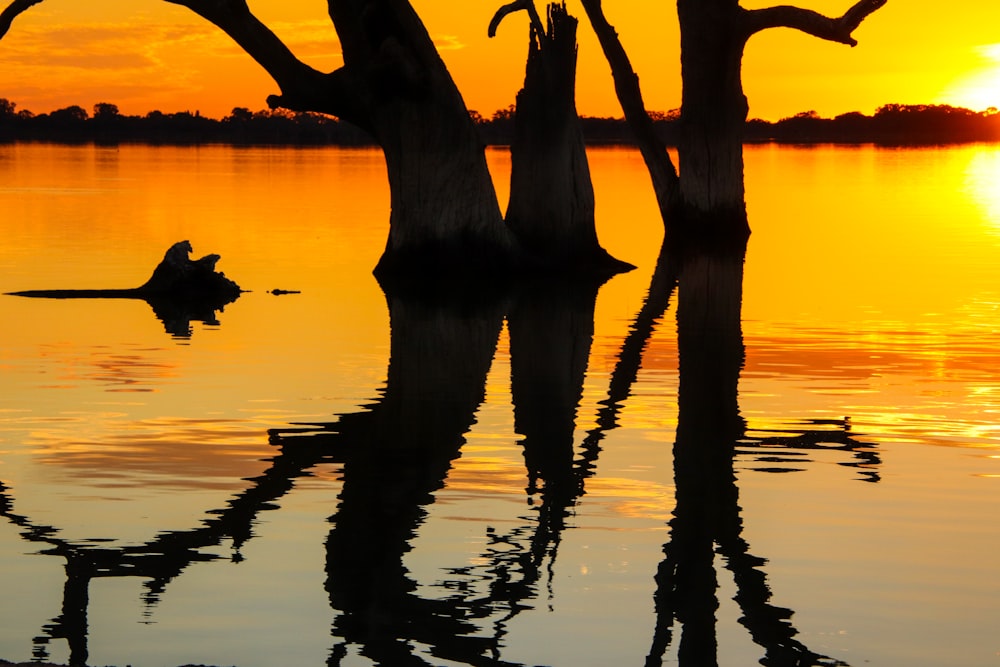 the sun is setting over a body of water