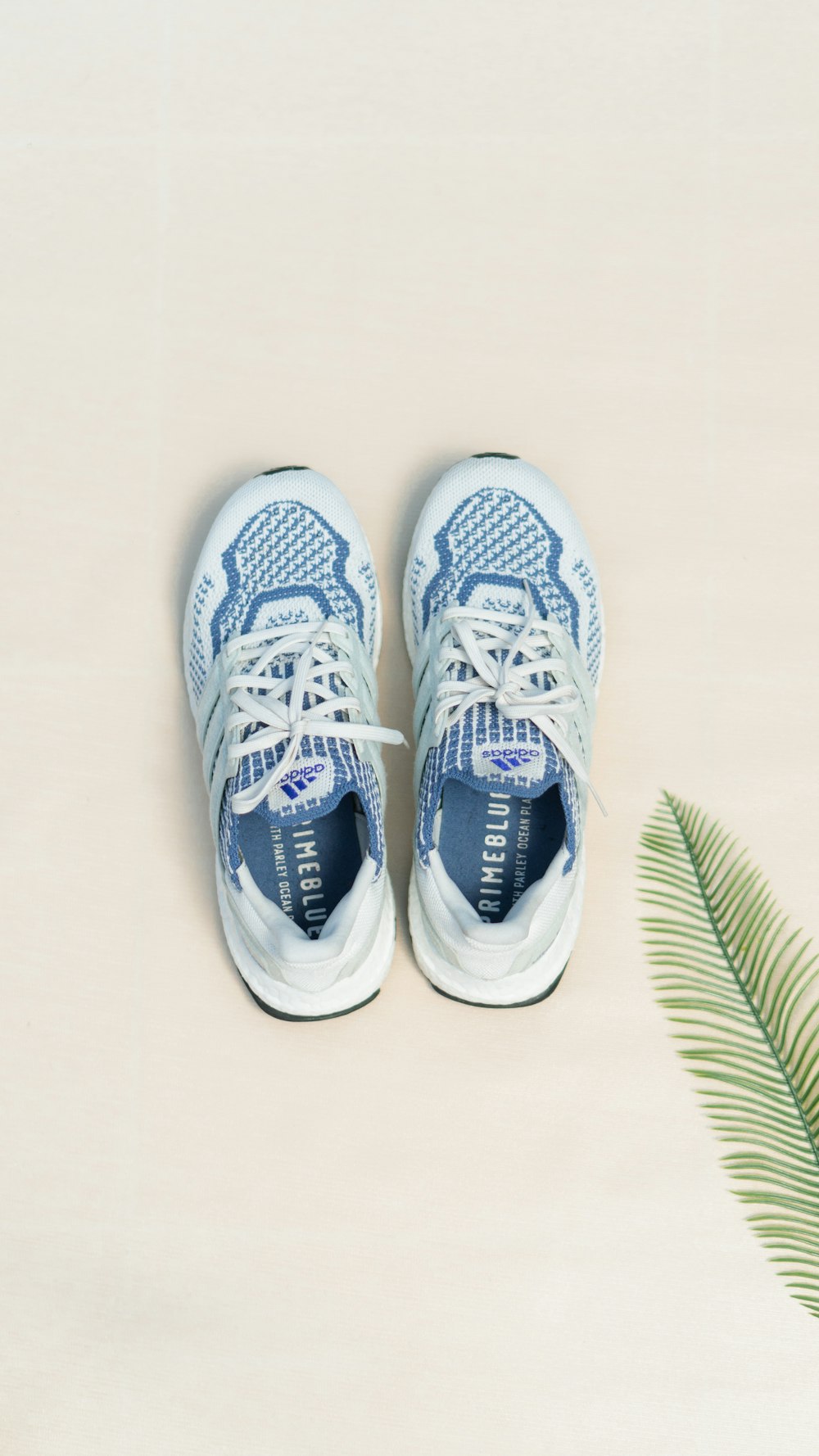 un paio di scarpe da ginnastica blu e bianche accanto a una pianta